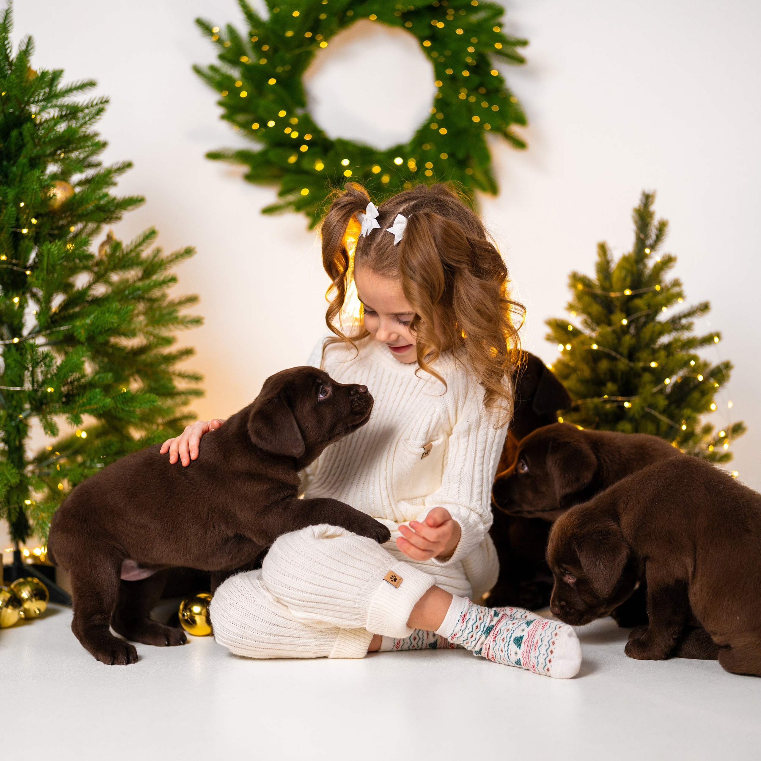 Щенки лабрадоры. Детский и семейный фотограф в Краснодаре Анастасия Blumberry