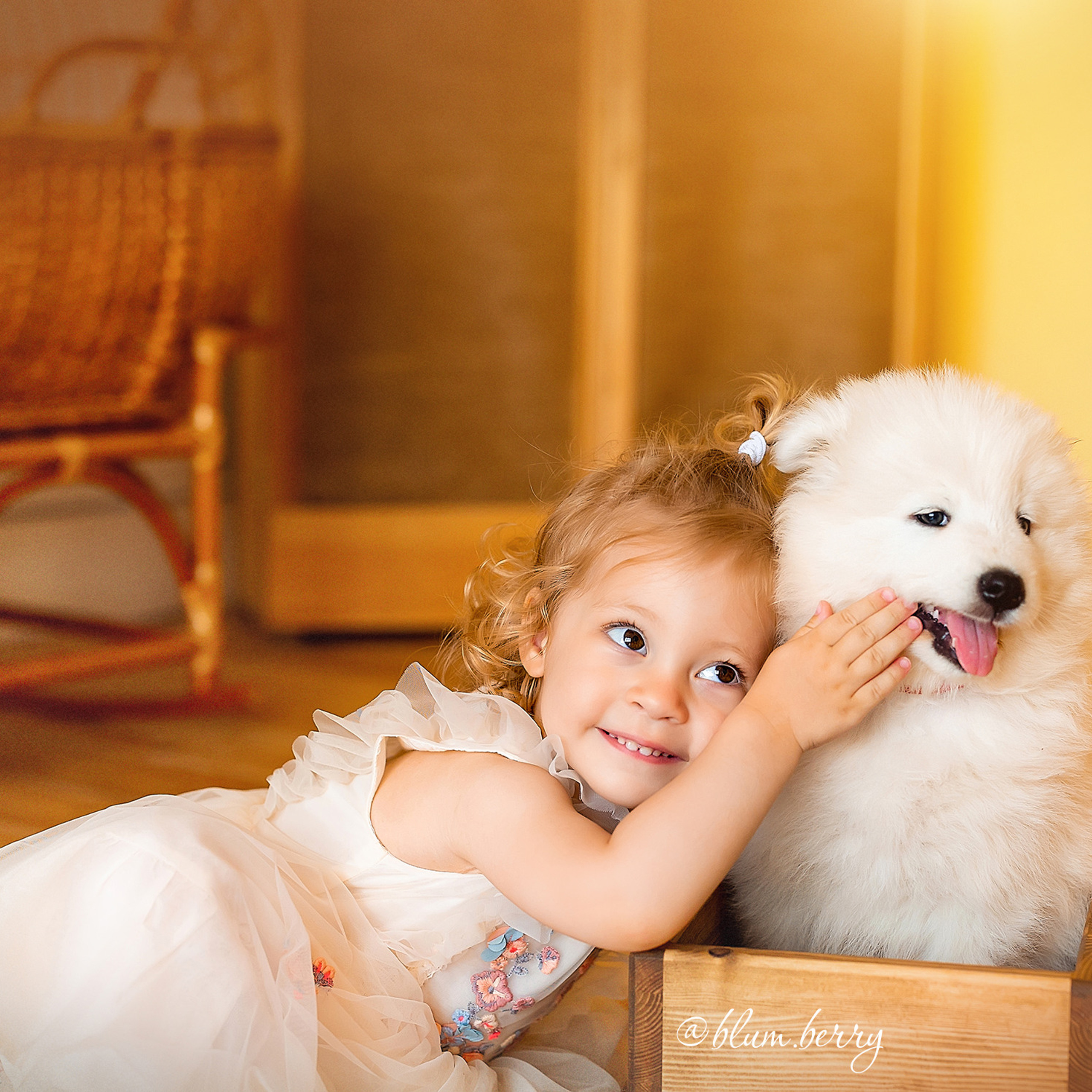 Щенки самоеда. Детский и семейный фотограф в Краснодаре Анастасия Blumberry