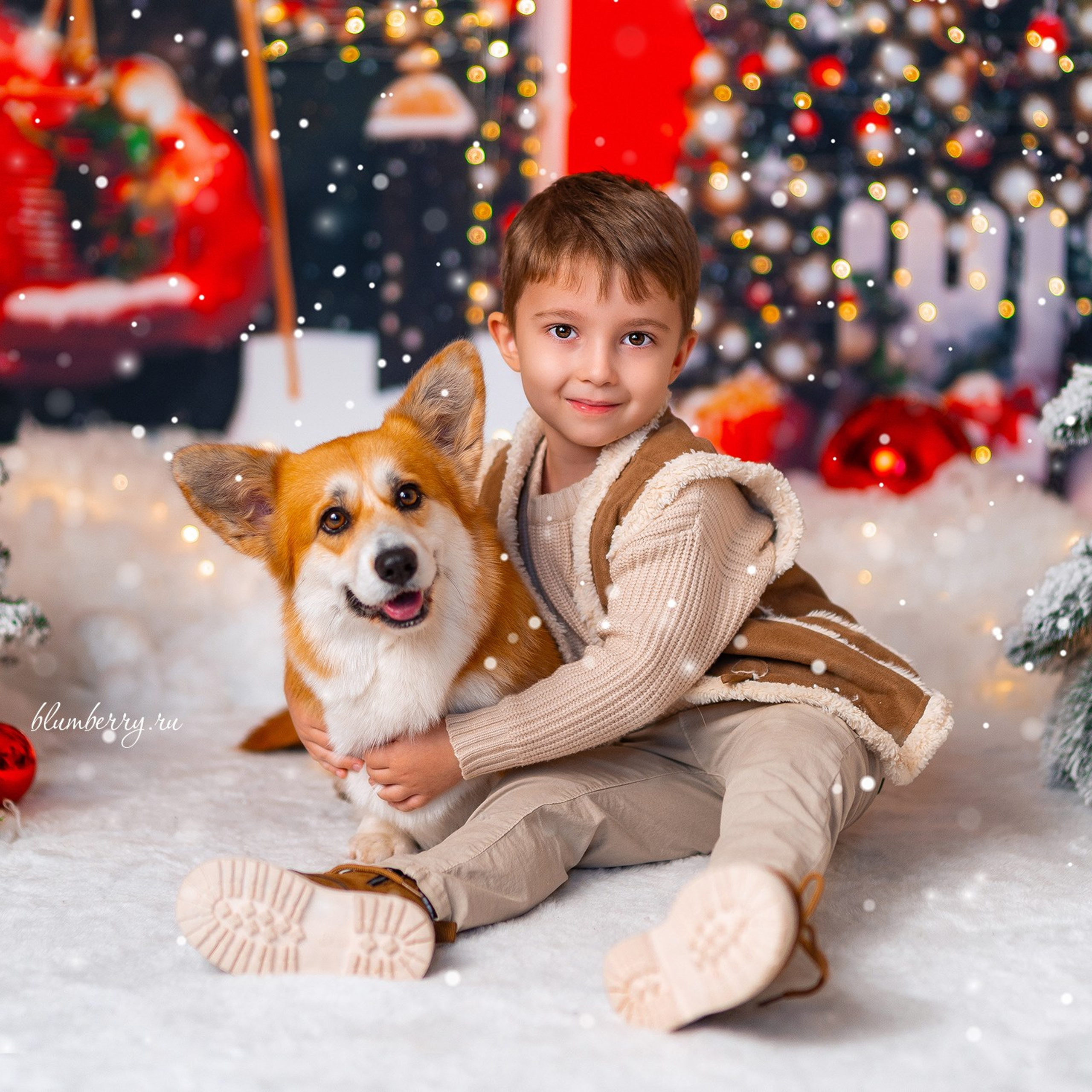 Новогодняя с корги. Детский и семейный фотограф в Краснодаре Анастасия Blumberry