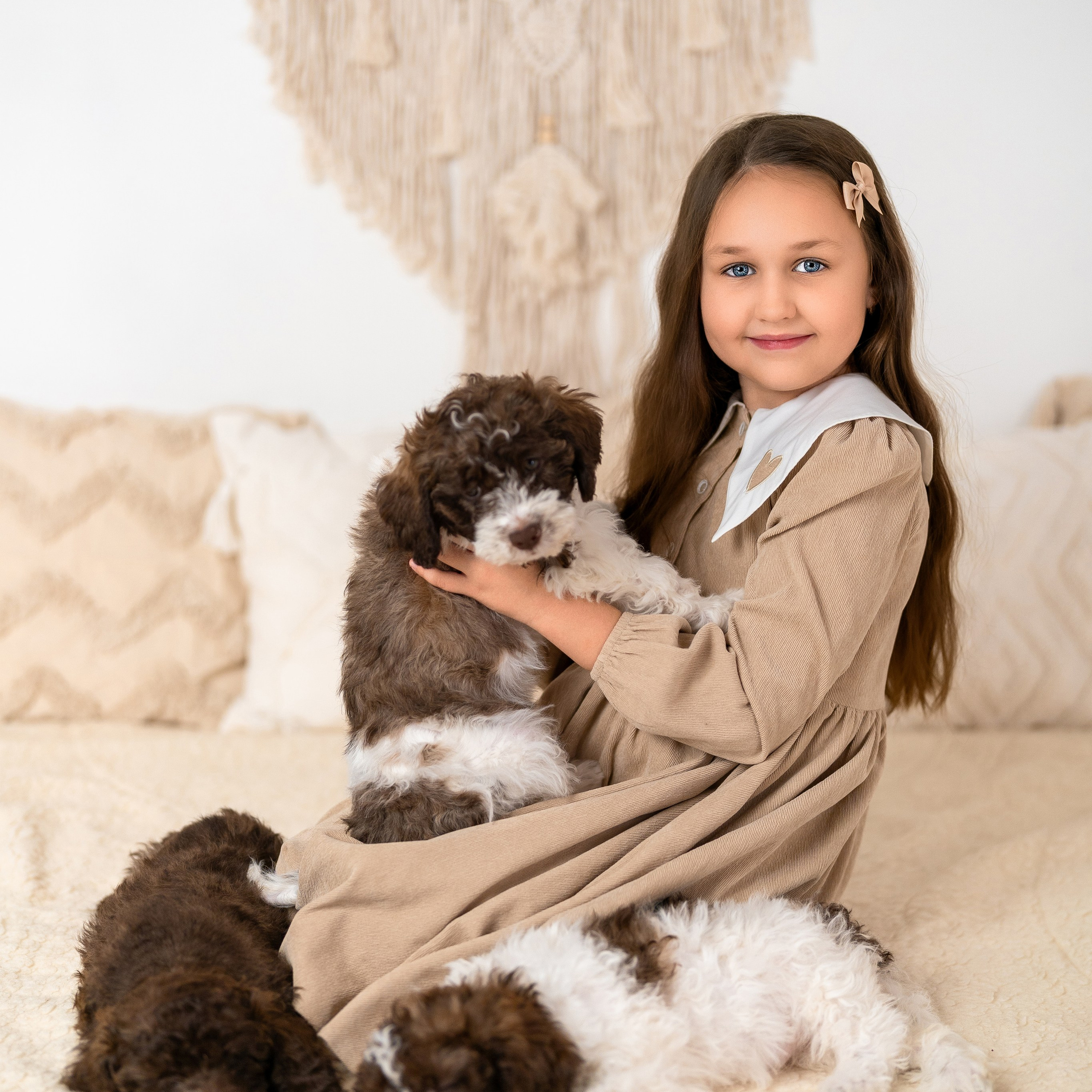 Щенки лаготто. Детский и семейный фотограф в Краснодаре Анастасия Blumberry