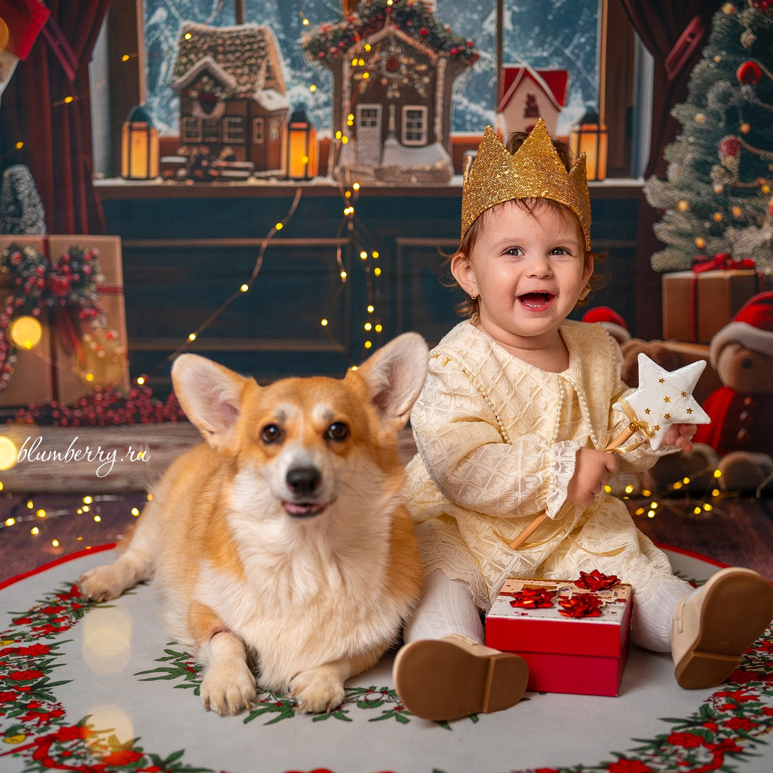Новогодняя комната с корги. Детский и семейный фотограф в Краснодаре Анастасия Blumberry