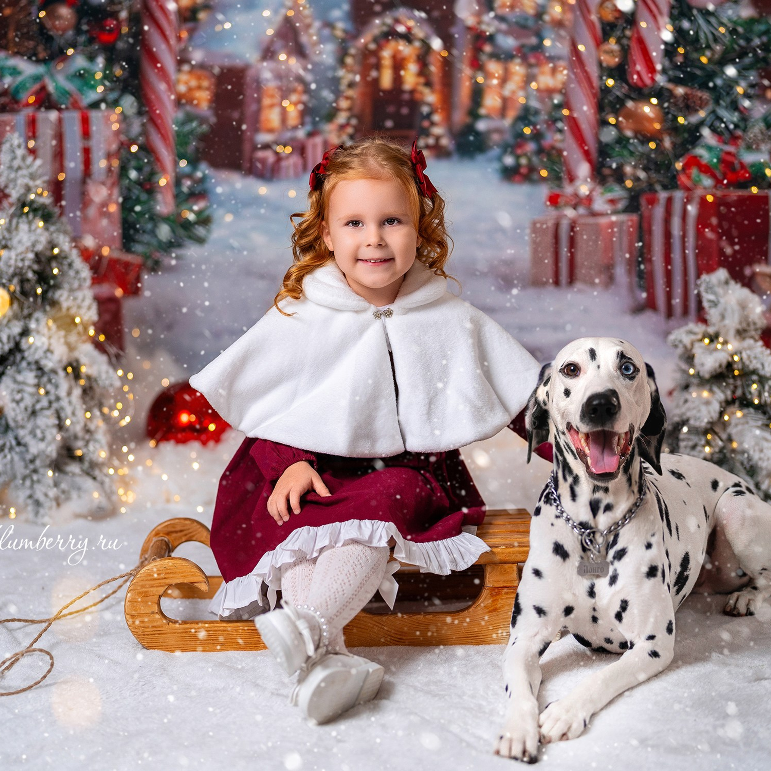 Далматин. Детский и семейный фотограф в Краснодаре Анастасия Blumberry