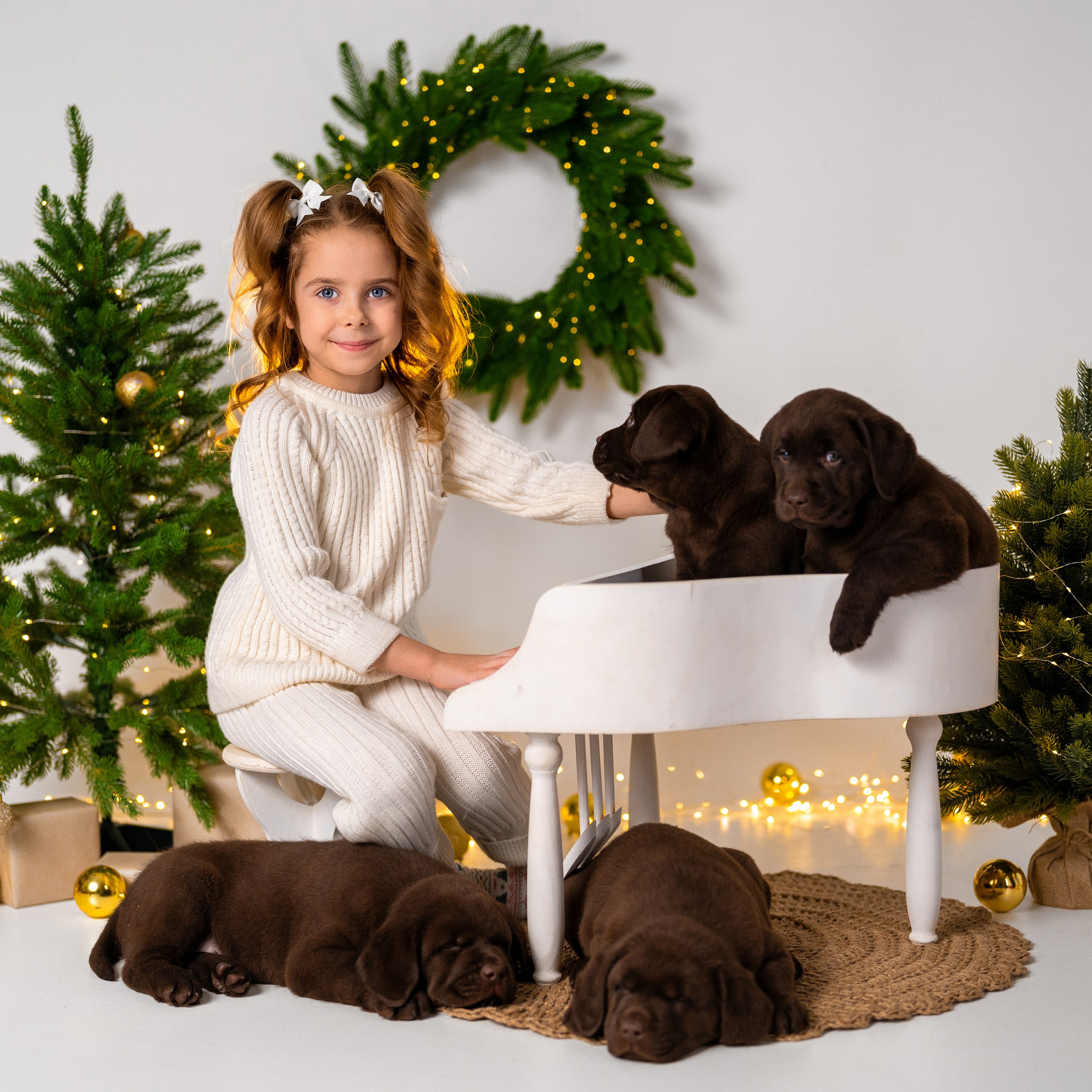 Щенки лабрадоры. Детский и семейный фотограф в Краснодаре Анастасия Blumberry