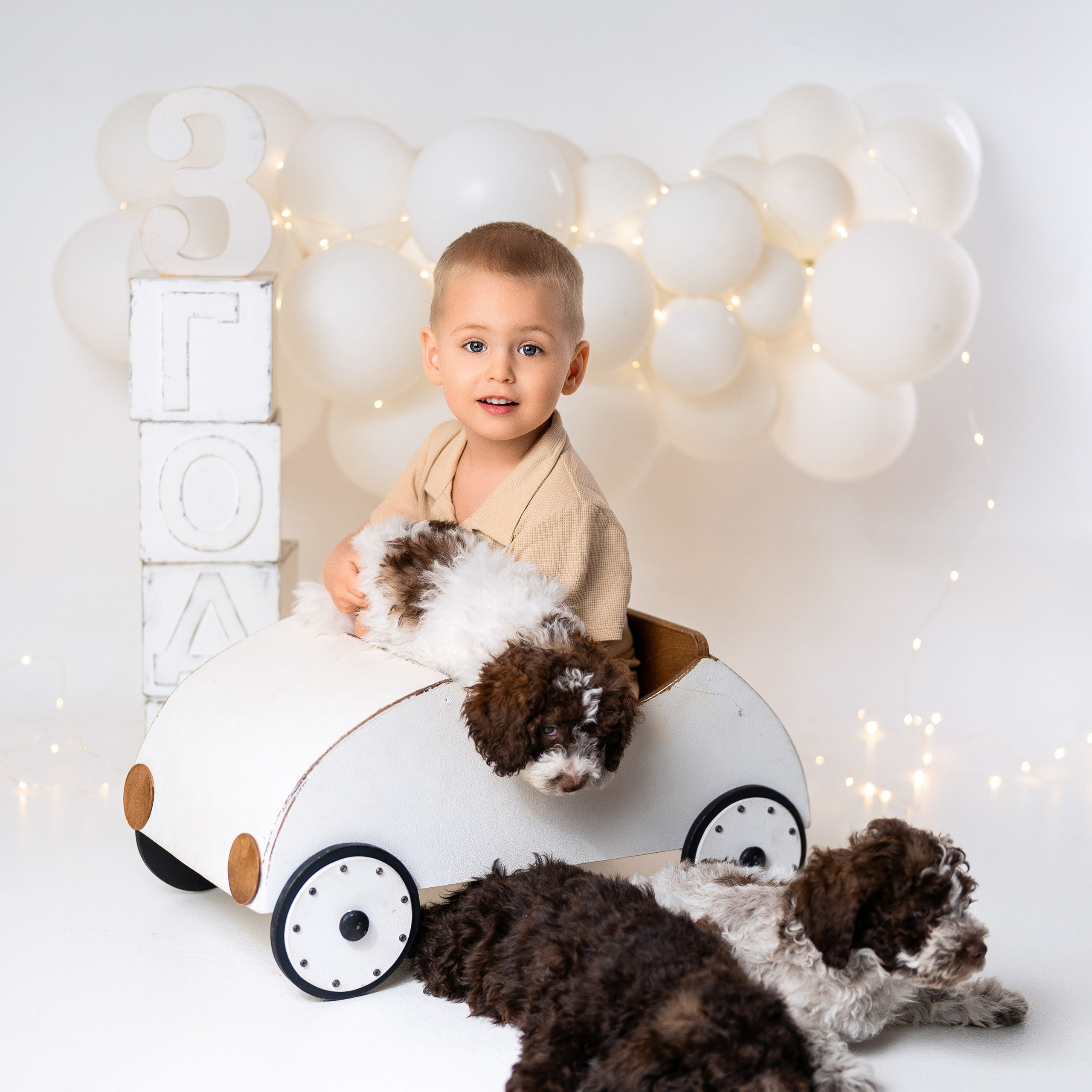 Щенки лаготто. Детский и семейный фотограф в Краснодаре Анастасия Blumberry