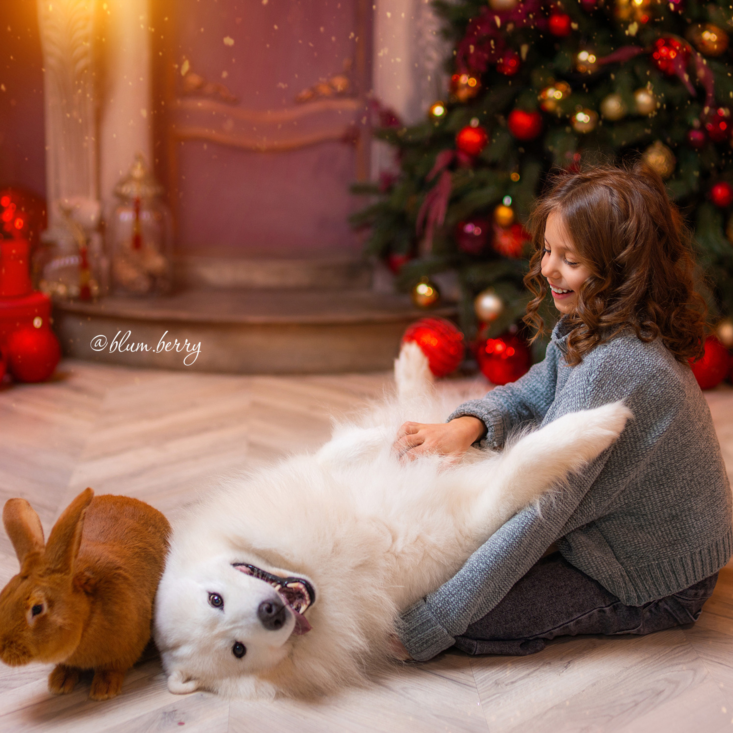 Новогодняя с самоедом и кроликом. Детский и семейный фотограф в Краснодаре Анастасия Blumberry