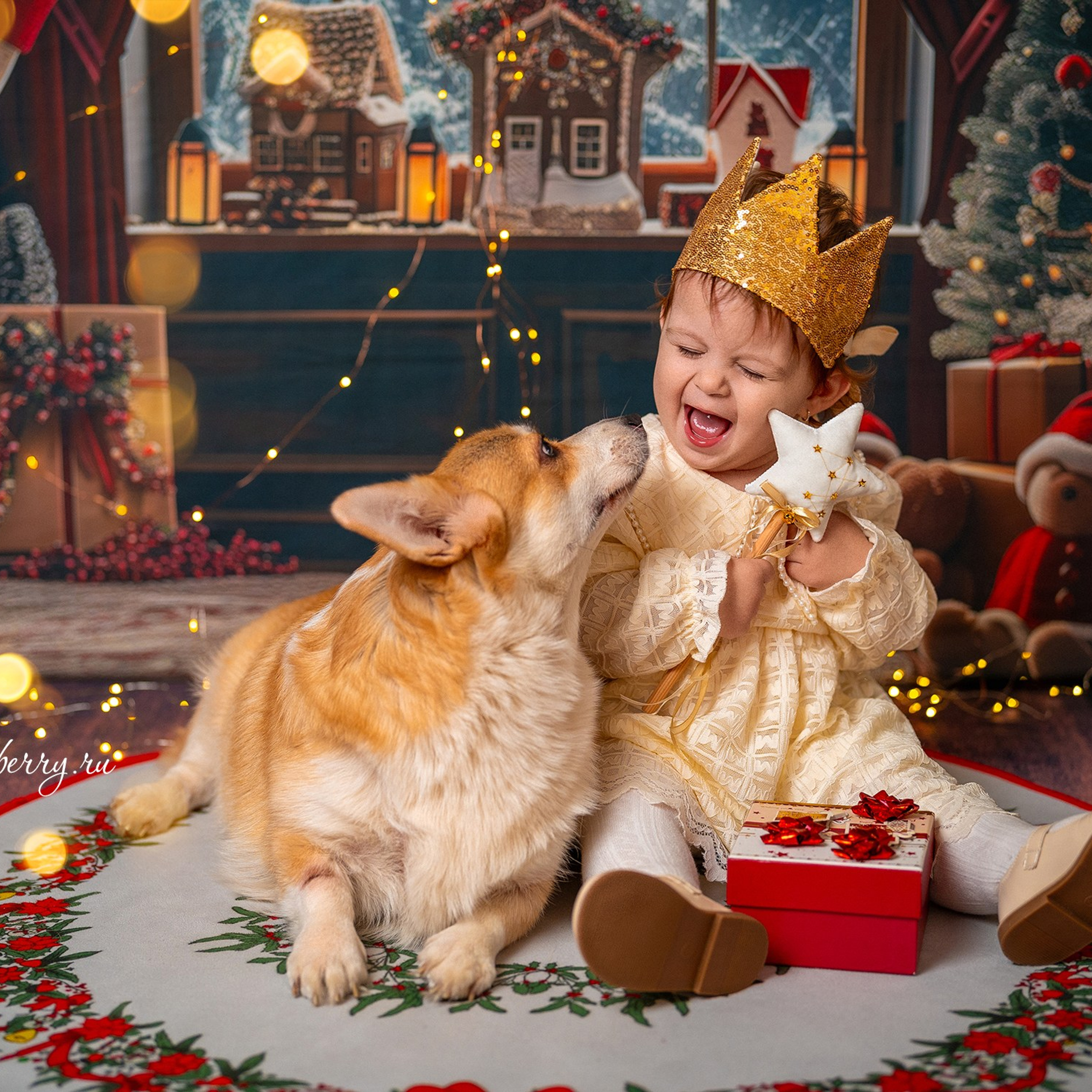 Новогодняя комната с корги