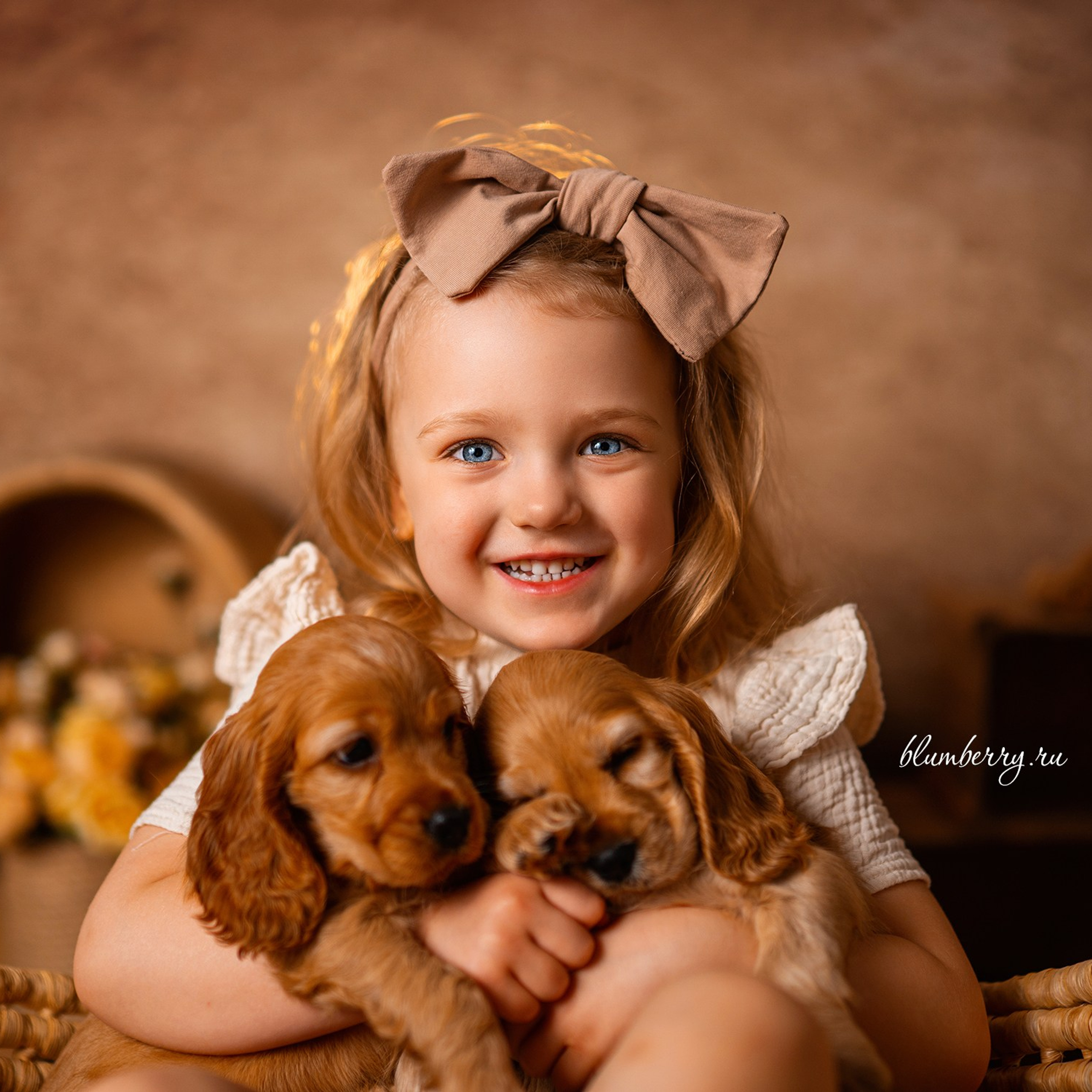 Щенки спаниеля. Детский и семейный фотограф в Краснодаре Анастасия Blumberry
