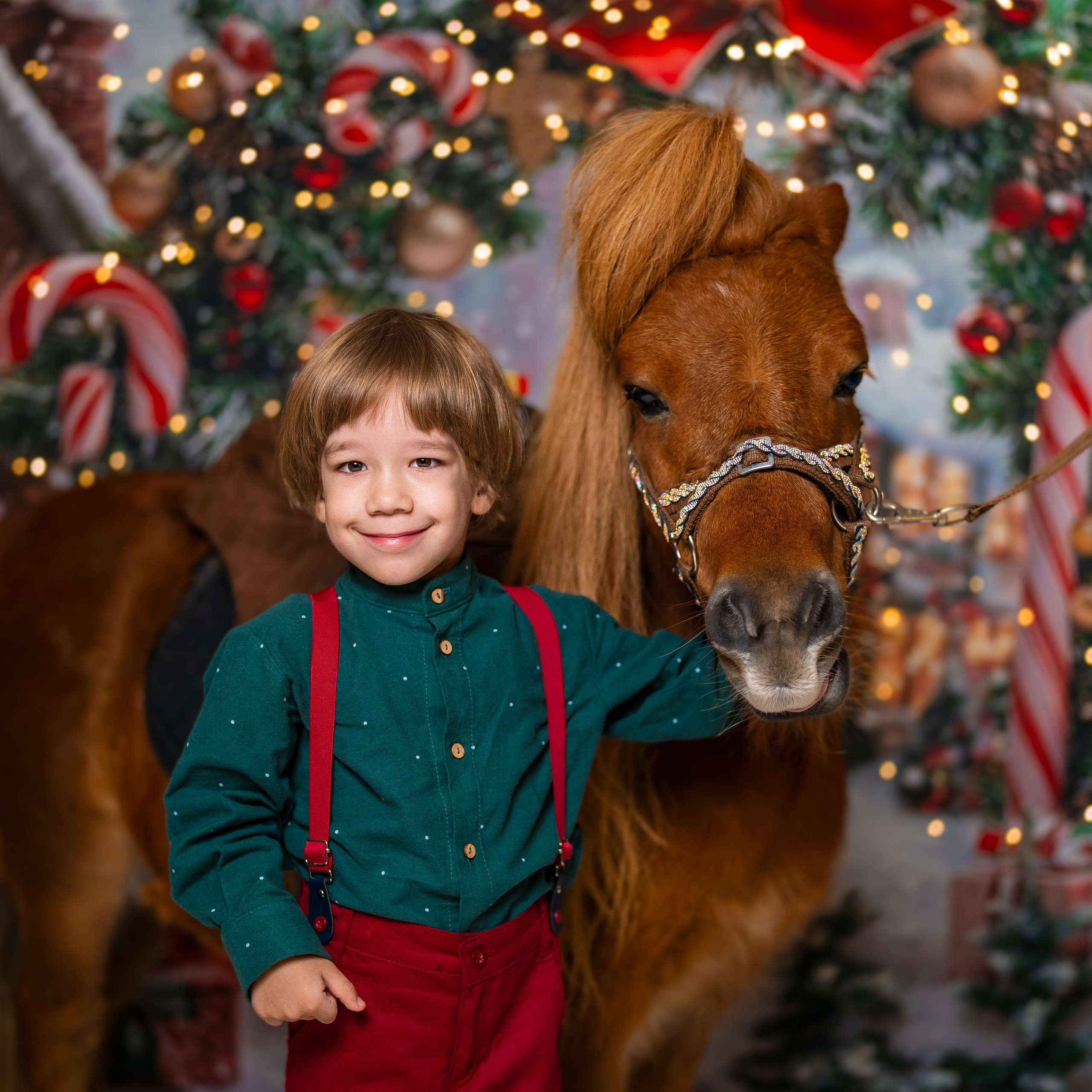 Год лошади. Детский и семейный фотограф в Краснодаре Анастасия Blumberry