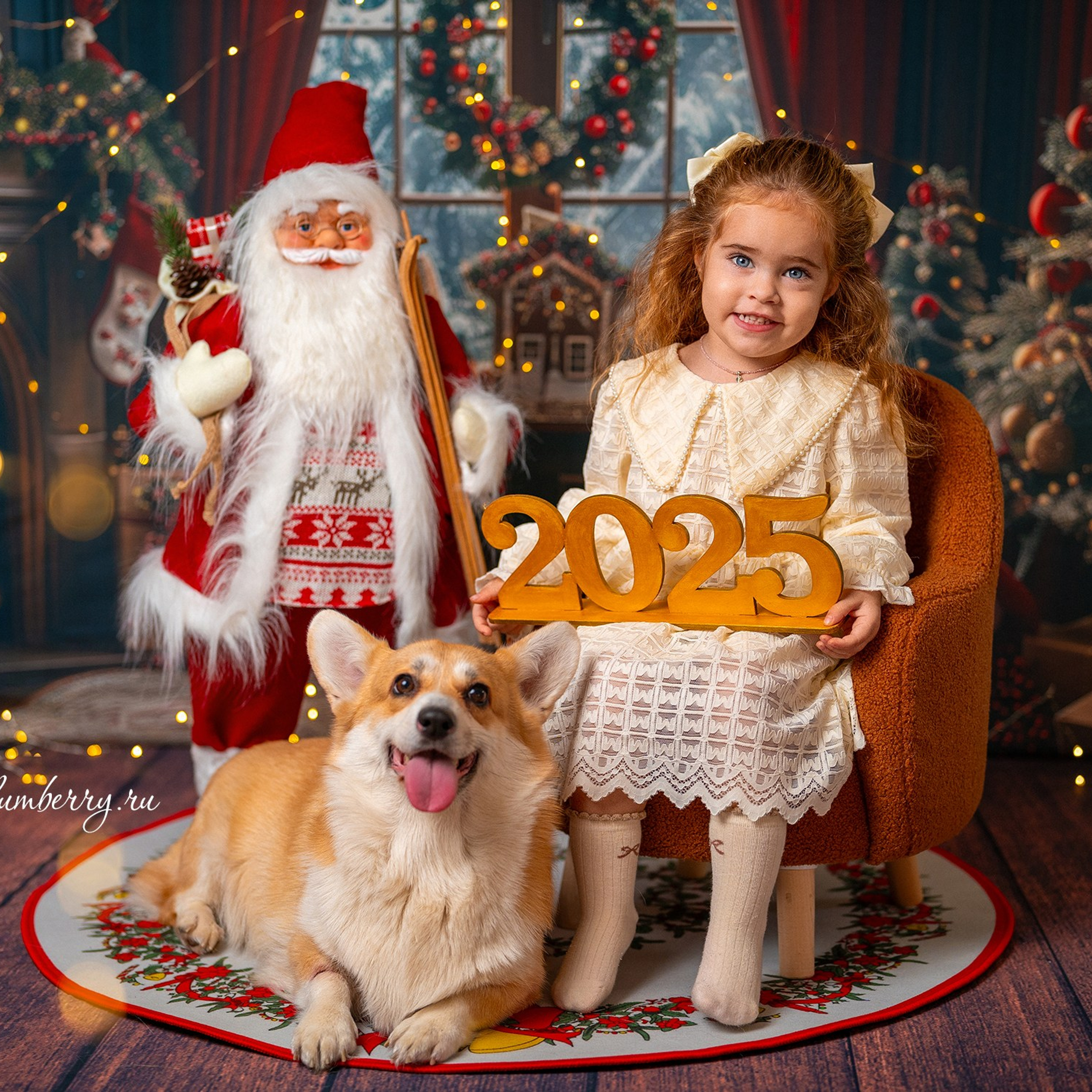 Новогодняя комната с корги. Детский и семейный фотограф в Краснодаре Анастасия Blumberry