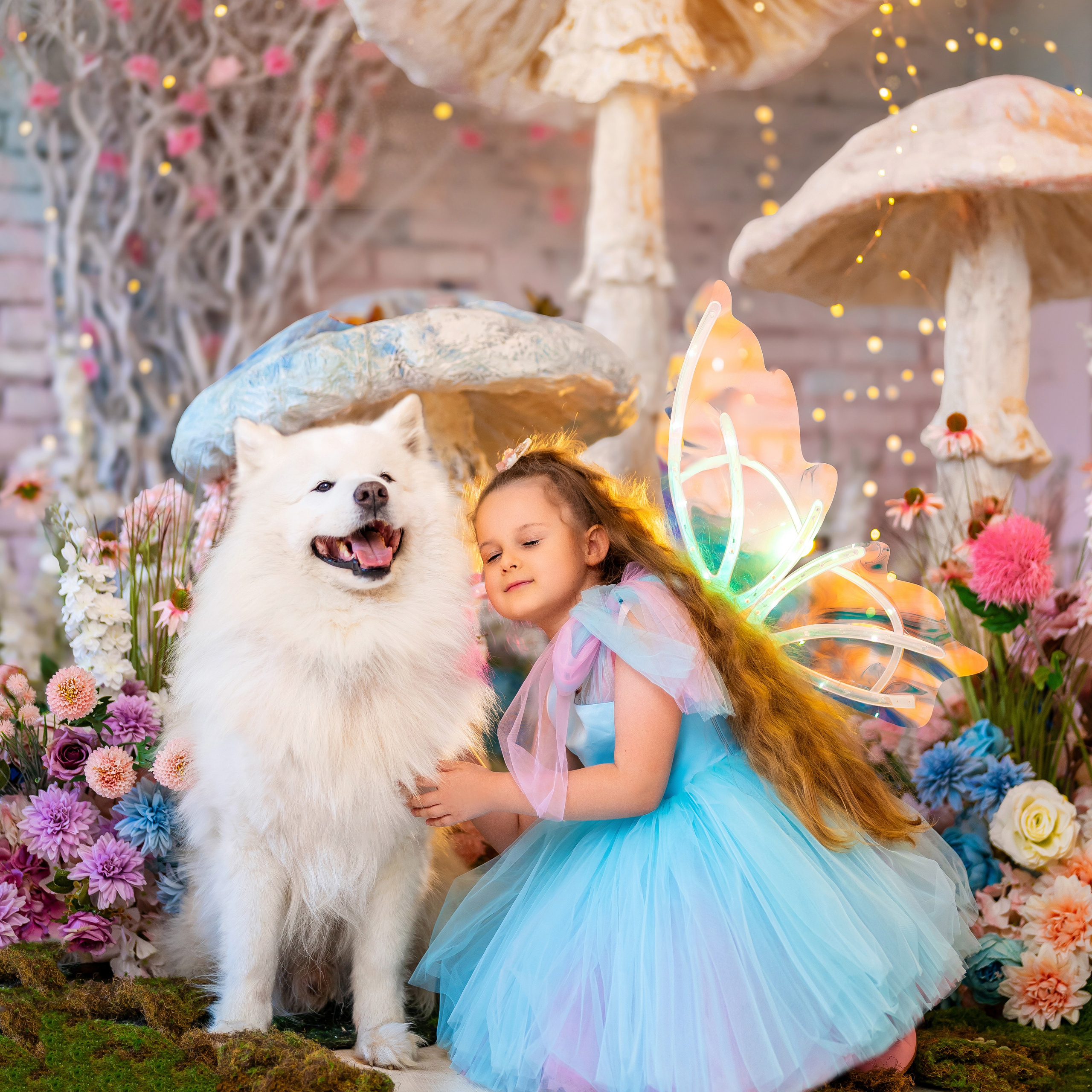 Бабочки с самоедом