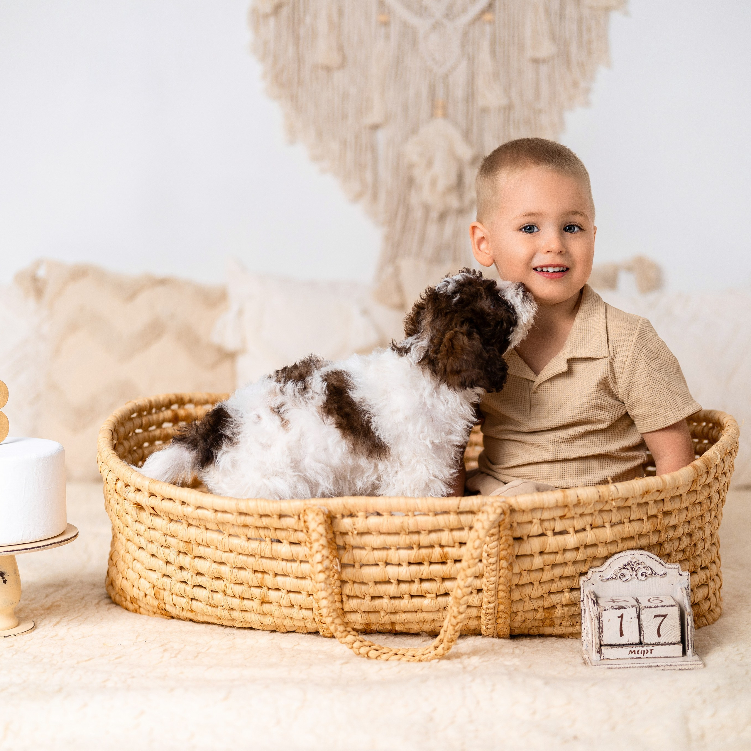 Щенки лаготто. Детский и семейный фотограф в Краснодаре Анастасия Blumberry