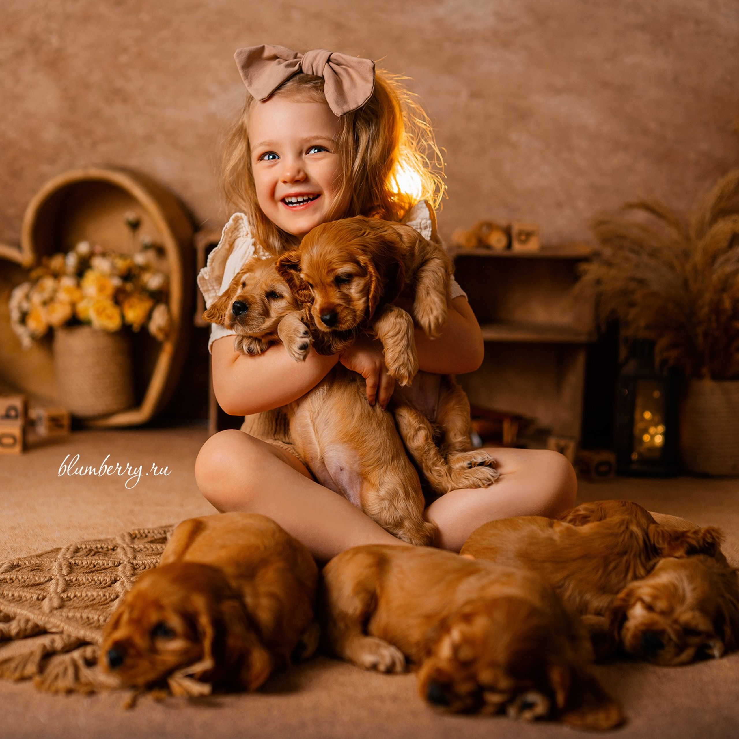 Щенки спаниеля. Детский и семейный фотограф в Краснодаре Анастасия Blumberry