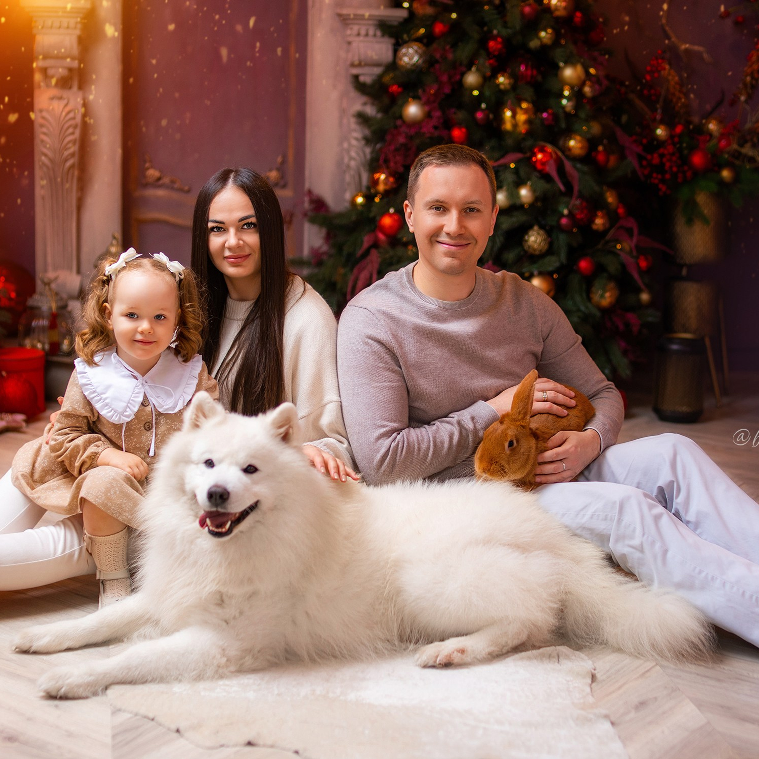 Новогодняя с самоедом и кроликом. Детский и семейный фотограф в Краснодаре Анастасия Blumberry