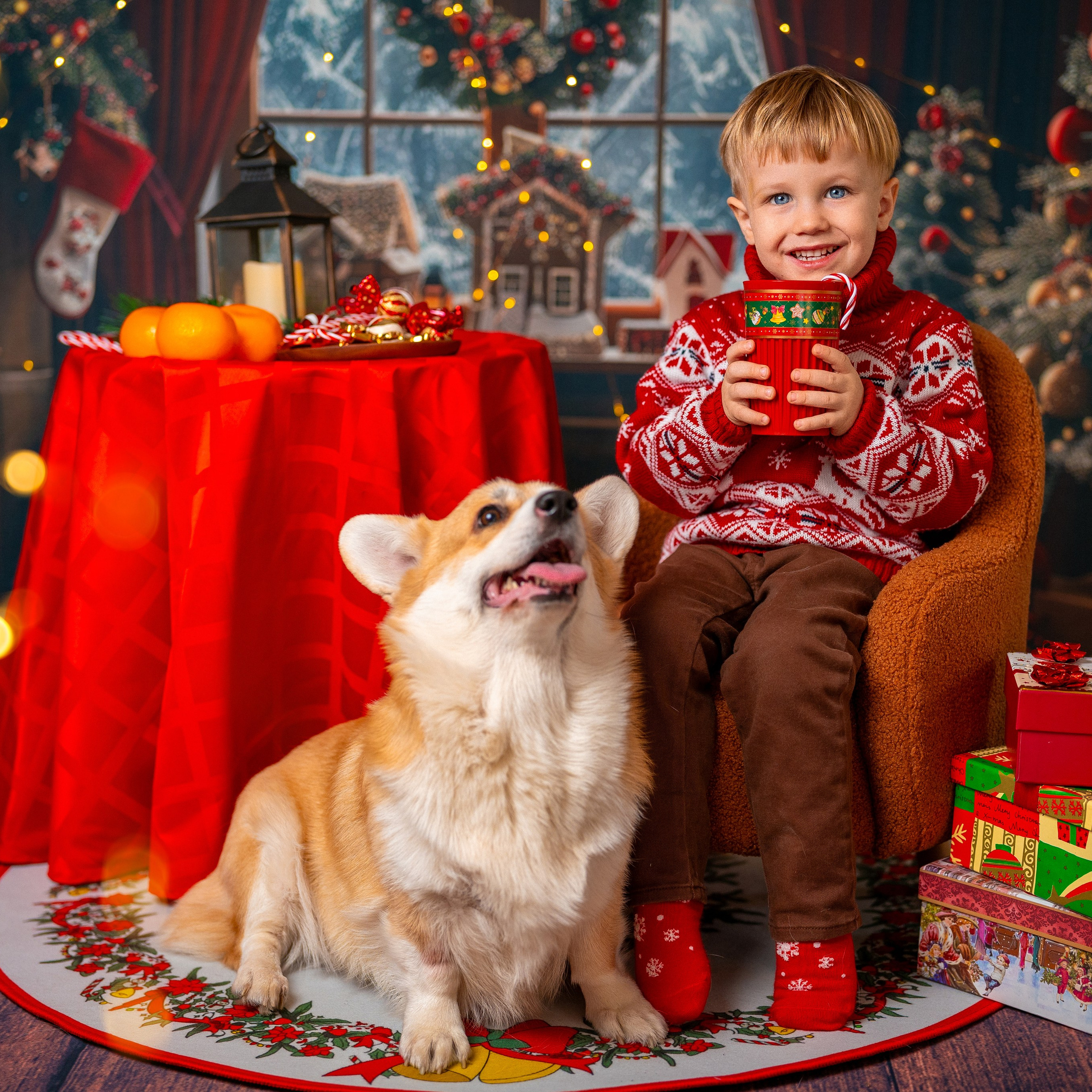 Новогодняя комната с корги. Детский и семейный фотограф в Краснодаре Анастасия Blumberry