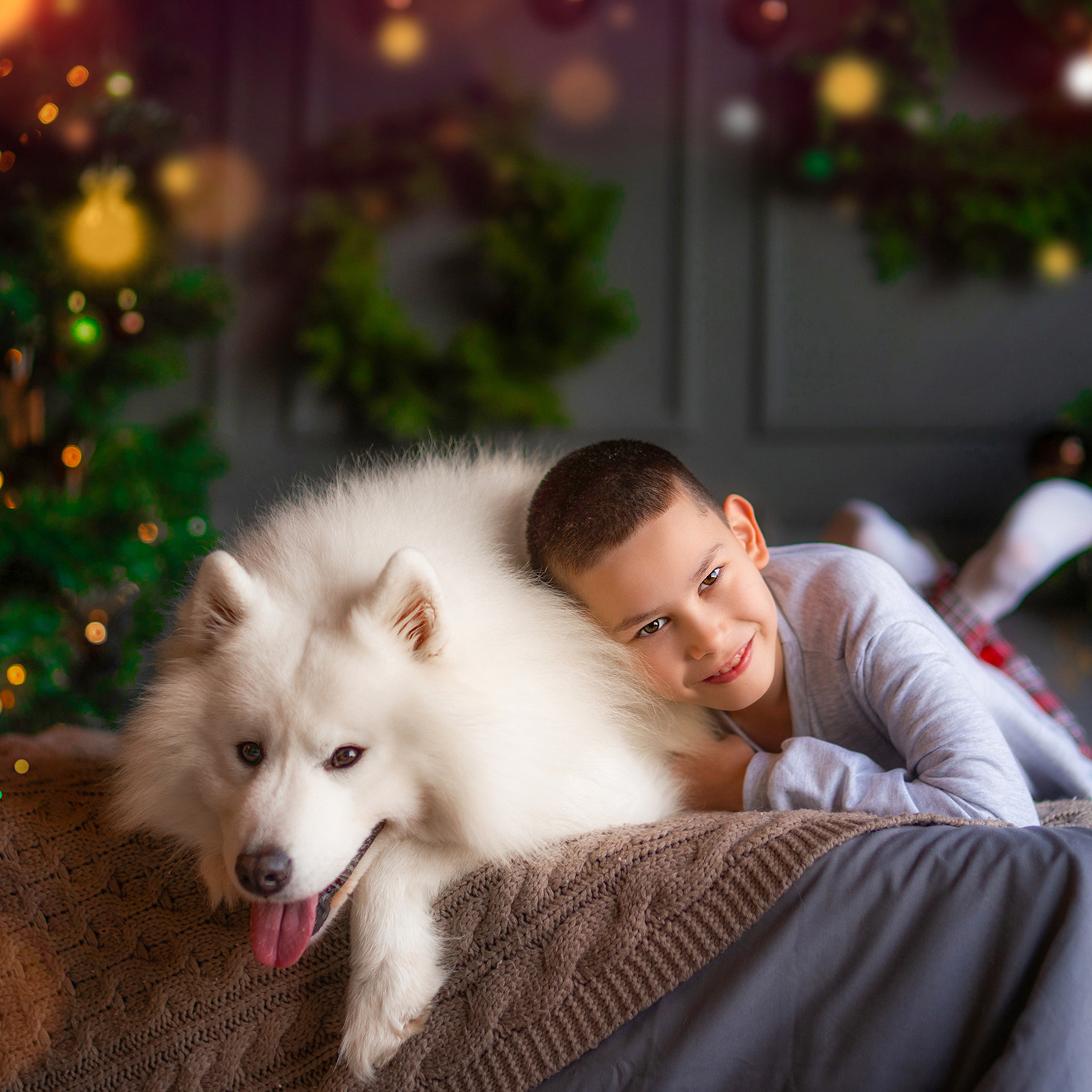 Новогодняя с самоедом и кроликом. Детский и семейный фотограф в Краснодаре Анастасия Blumberry