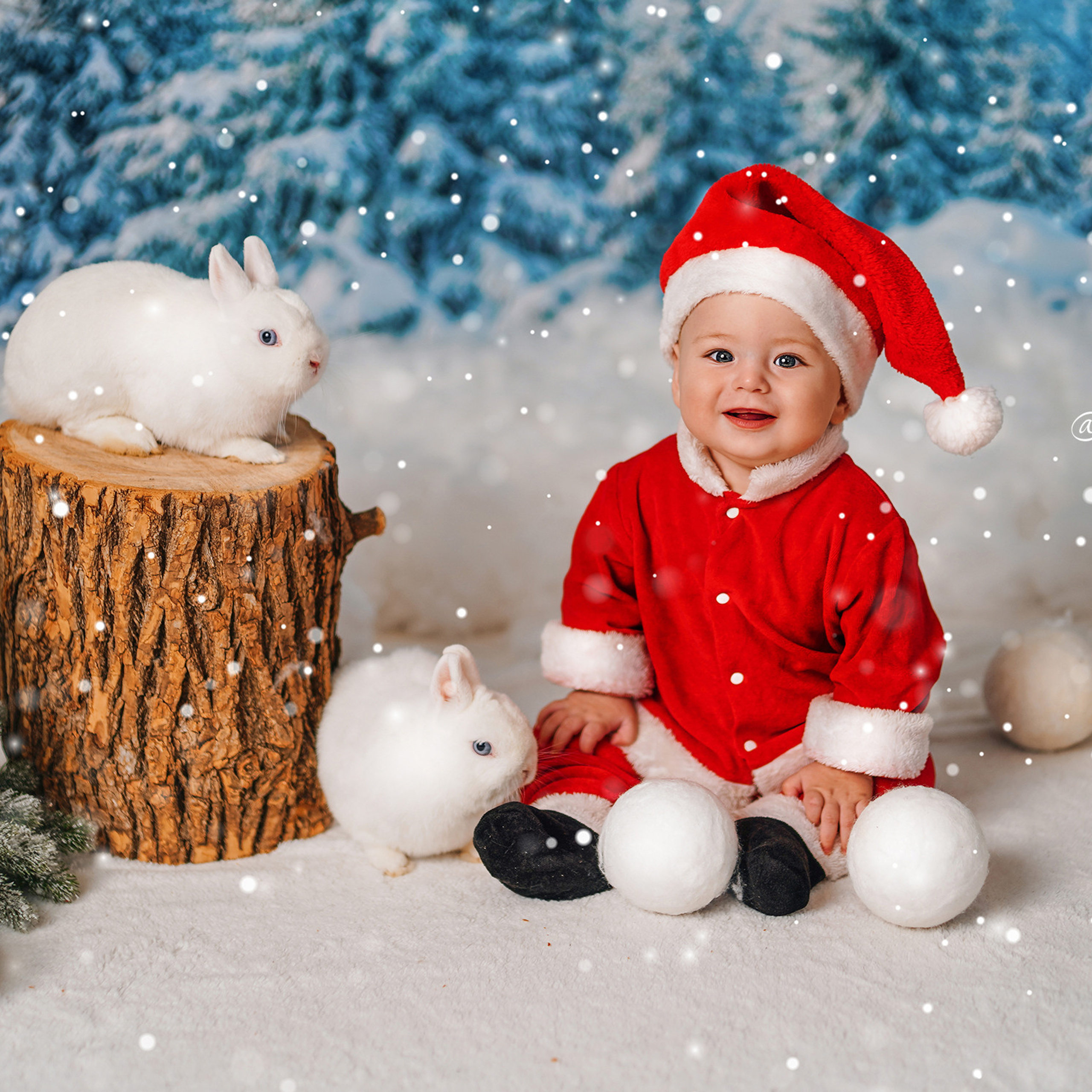 Отзывы. Детский и семейный фотограф в Краснодаре Анастасия Blumberry