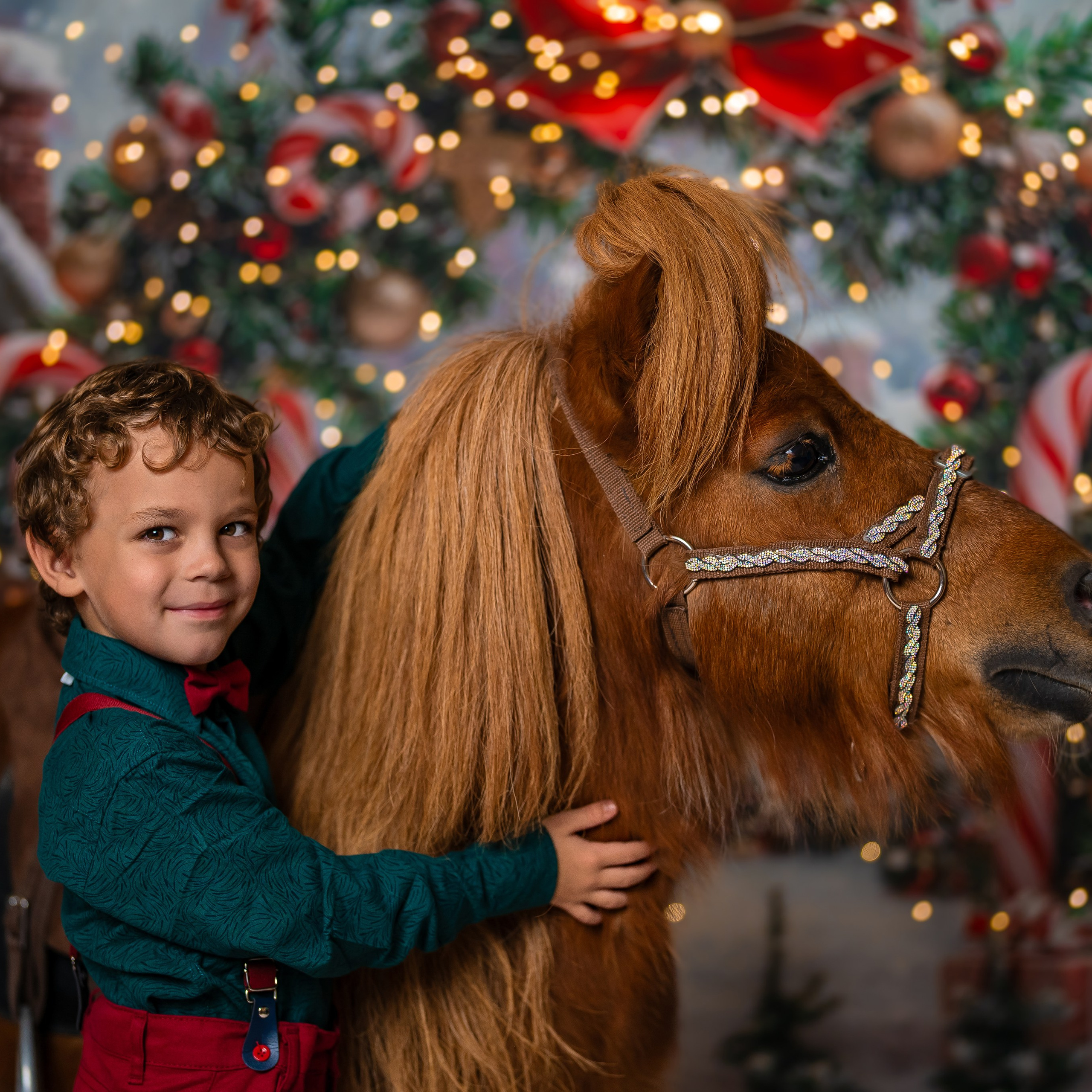 Год лошади. Детский и семейный фотограф в Краснодаре Анастасия Blumberry