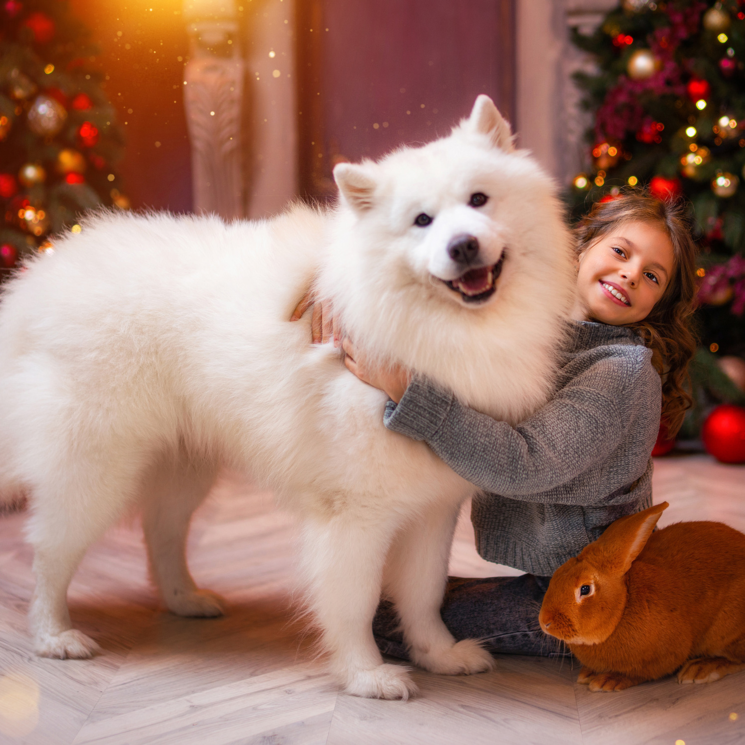 Новогодняя с самоедом и кроликом