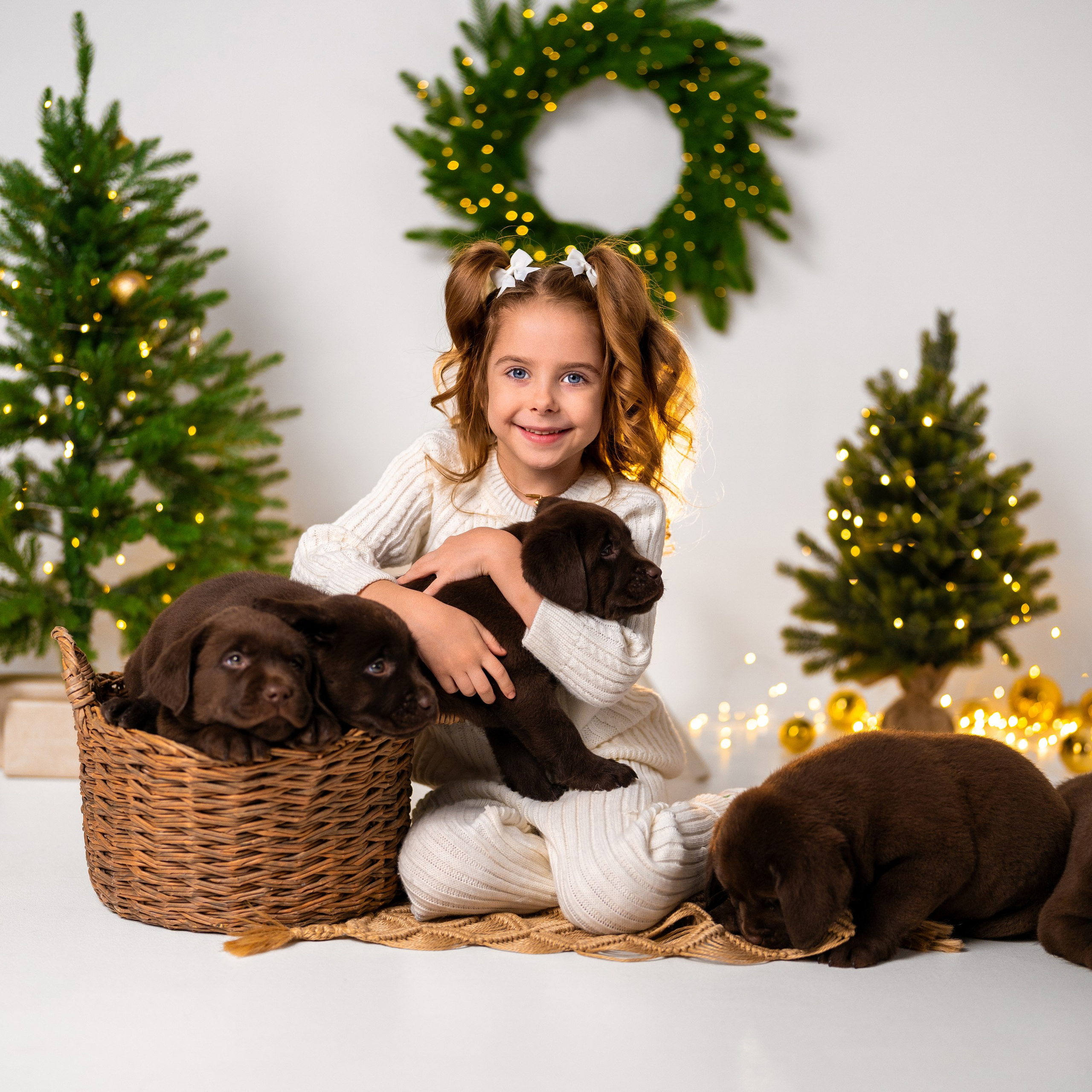 Щенки лабрадоры. Детский и семейный фотограф в Краснодаре Анастасия Blumberry