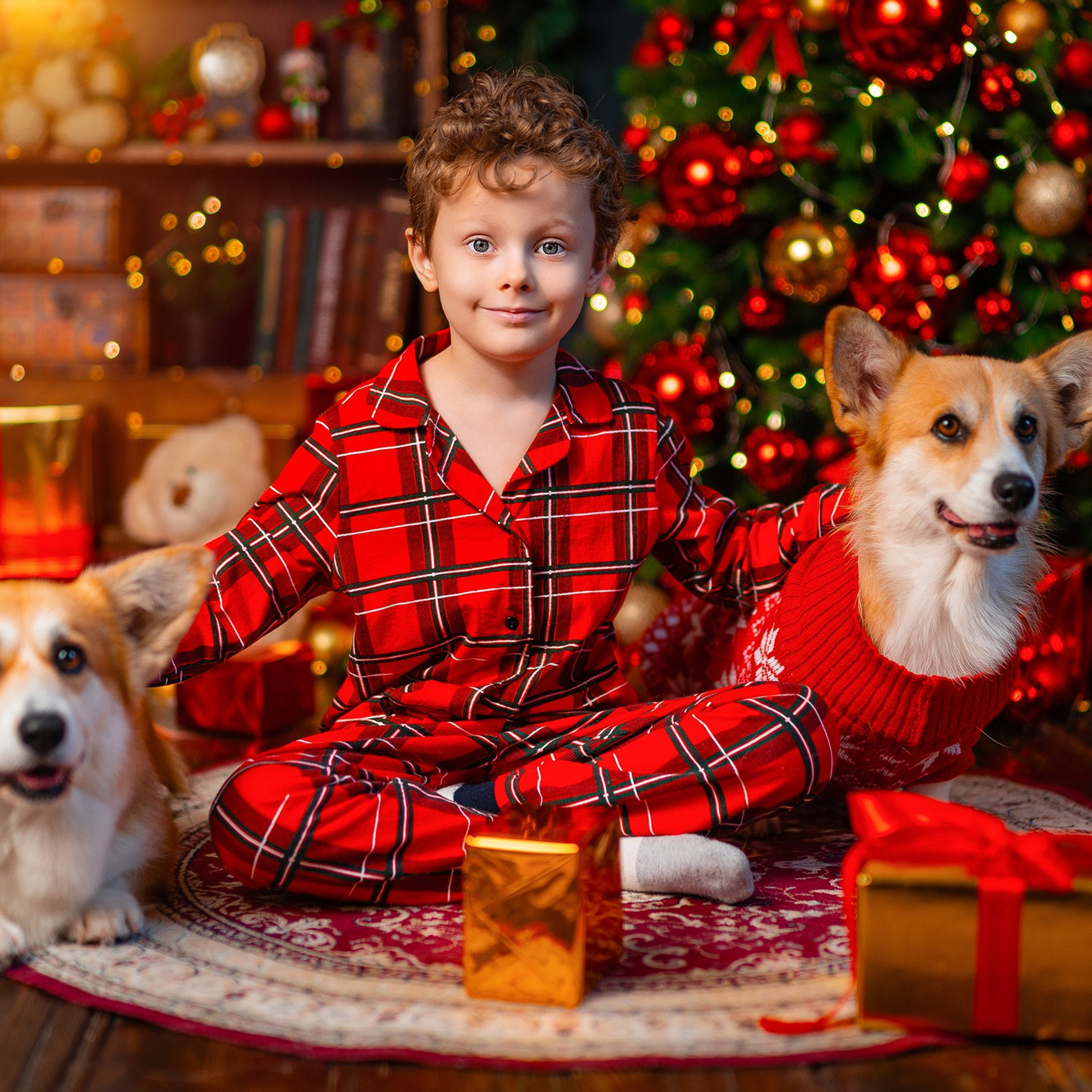 Новогодняя с корги. Детский и семейный фотограф в Краснодаре Анастасия Blumberry