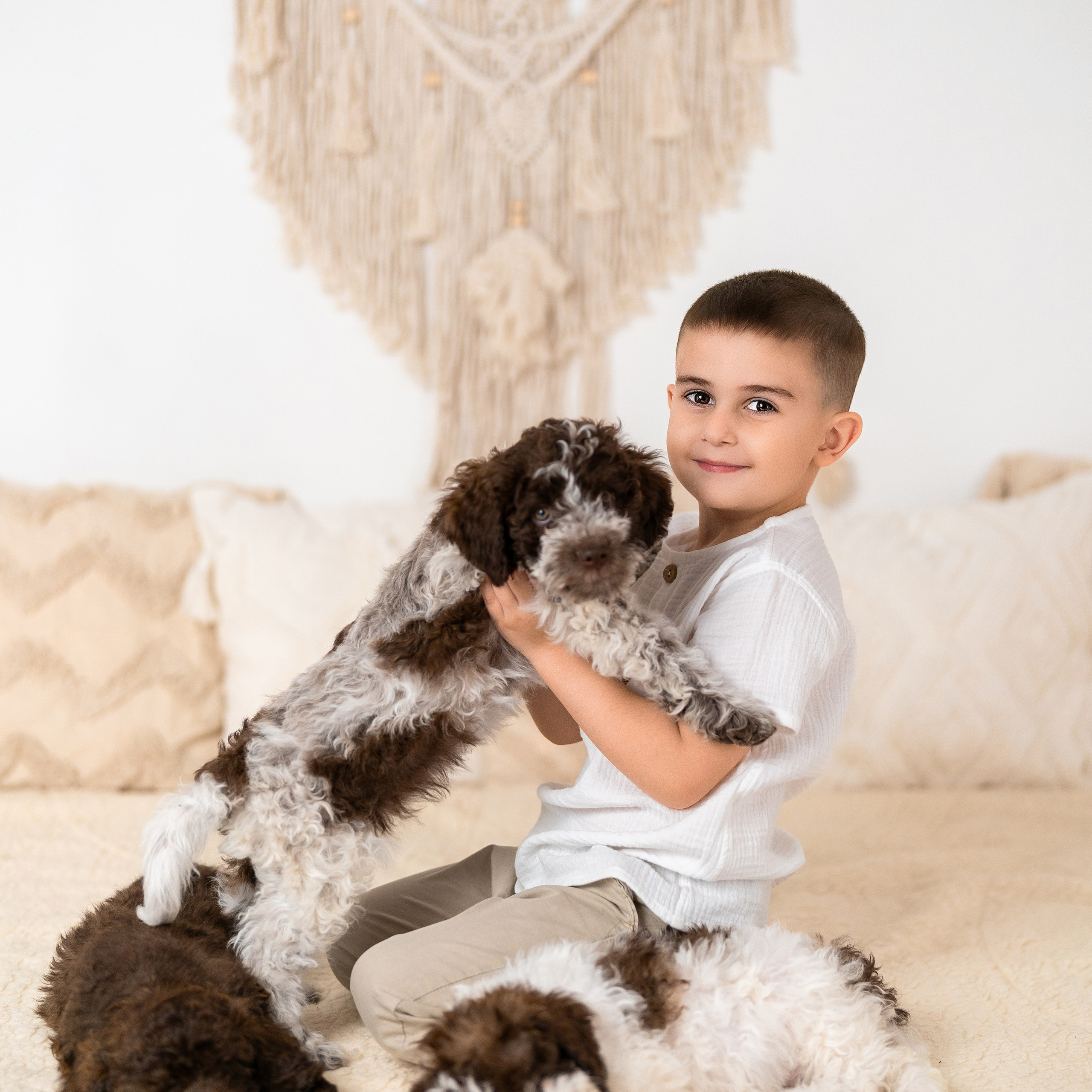 Щенки лаготто. Детский и семейный фотограф в Краснодаре Анастасия Blumberry