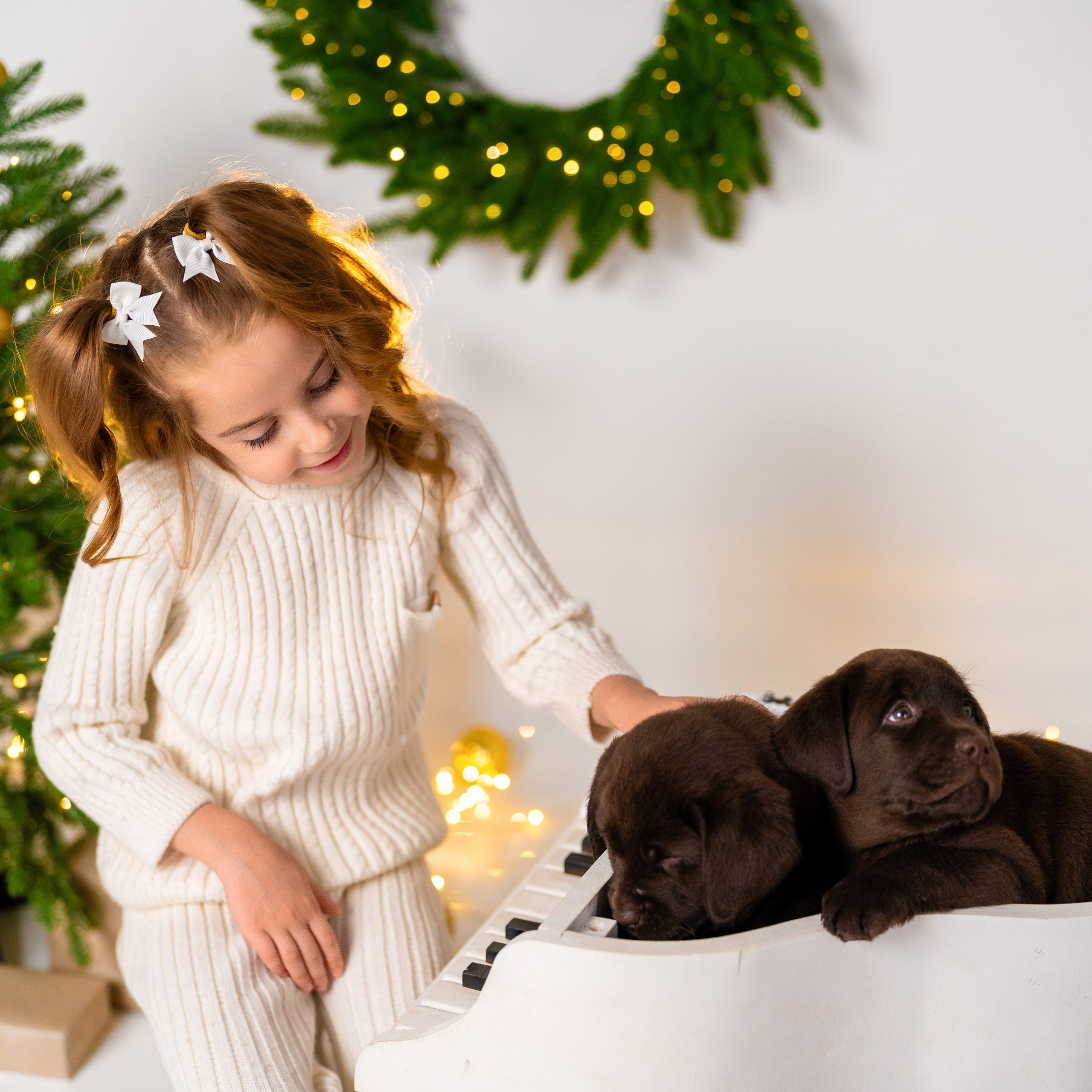 Щенки лабрадоры. Детский и семейный фотограф в Краснодаре Анастасия Blumberry