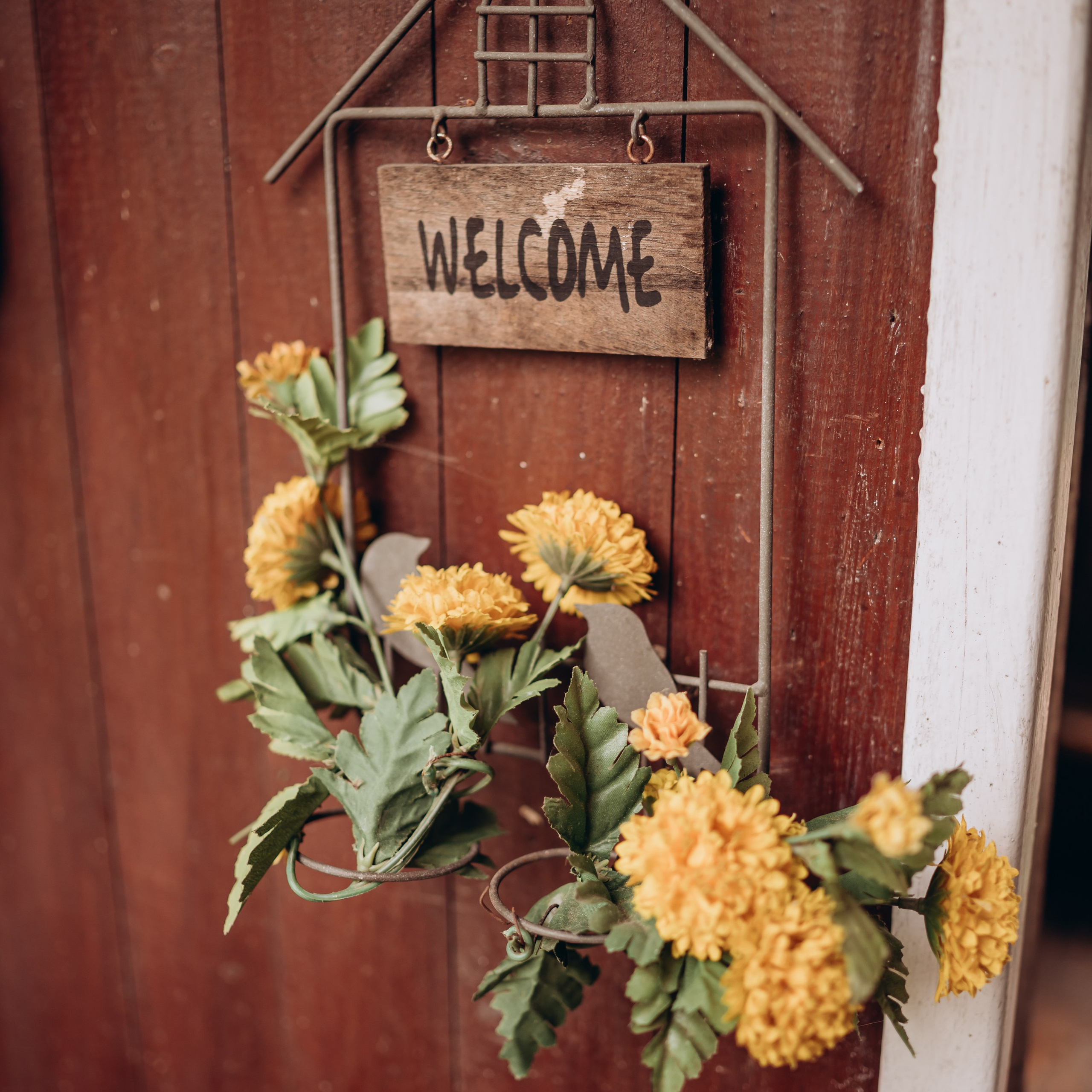 Отзывы. Детский и семейный фотограф в Москве