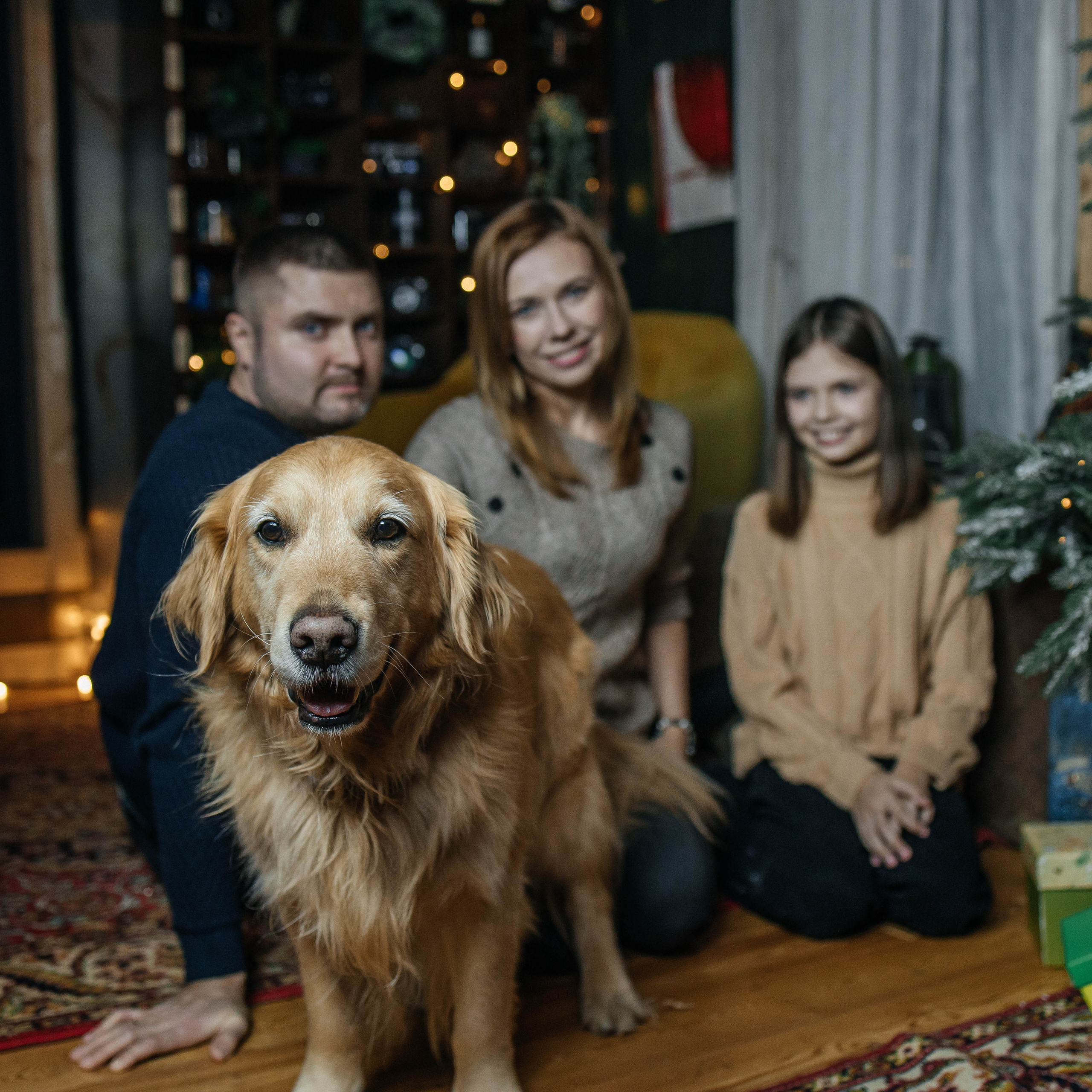 Отзывы. Фотограф в Красногорске Инна Романова, индивидуальные съемки, лавстори
