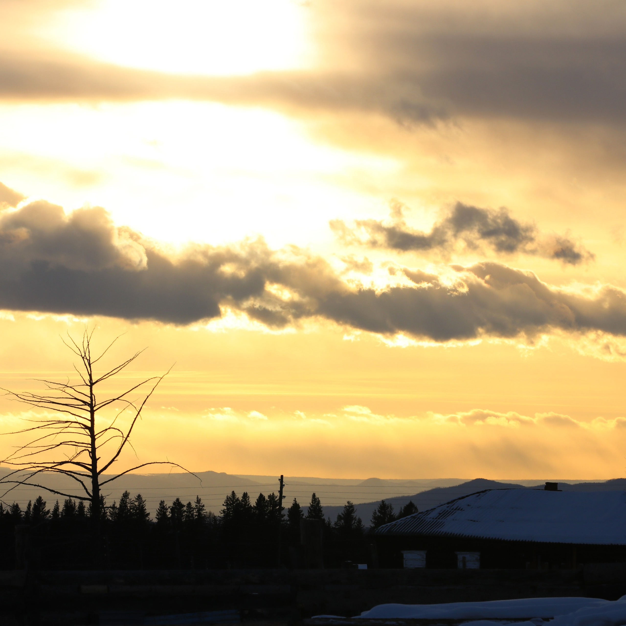 Аршан. Февраль 2025