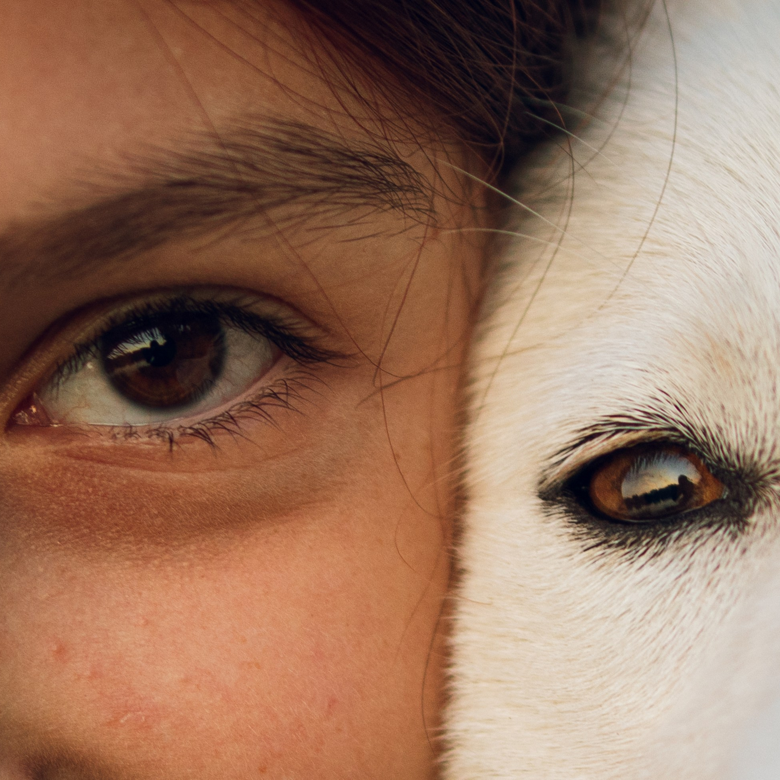 Отзывы. Фотограф и видеограф в Бугульме Аня Трутнева