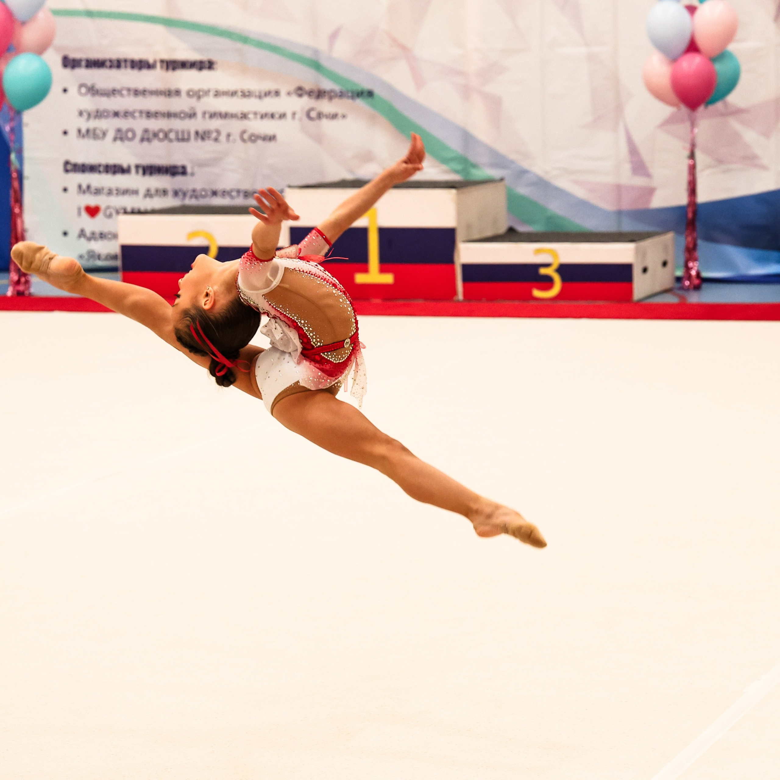 Художественная гимнастика