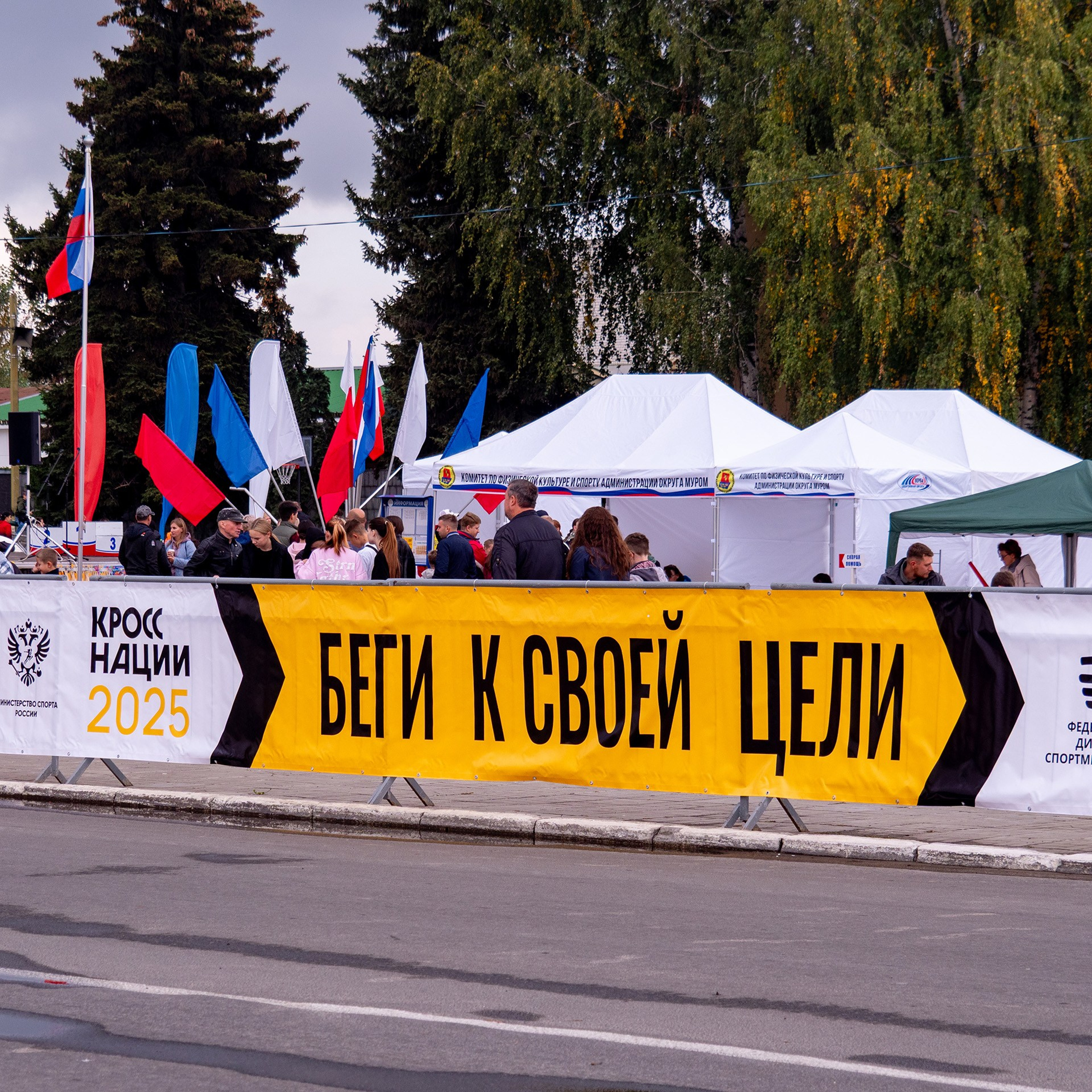 Кросс нации&nbsp;25