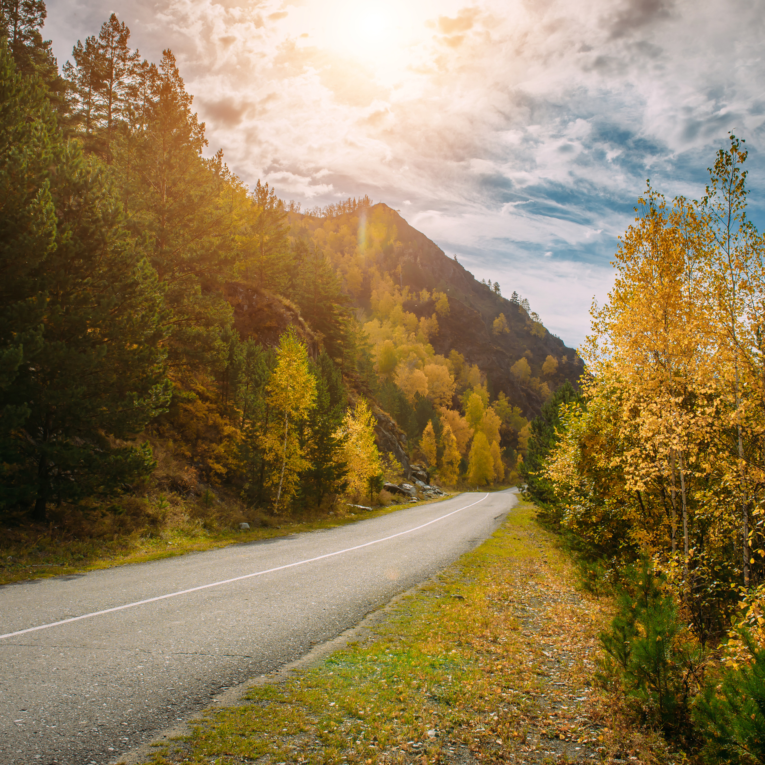 Алтай осенью | Altai in Autumn