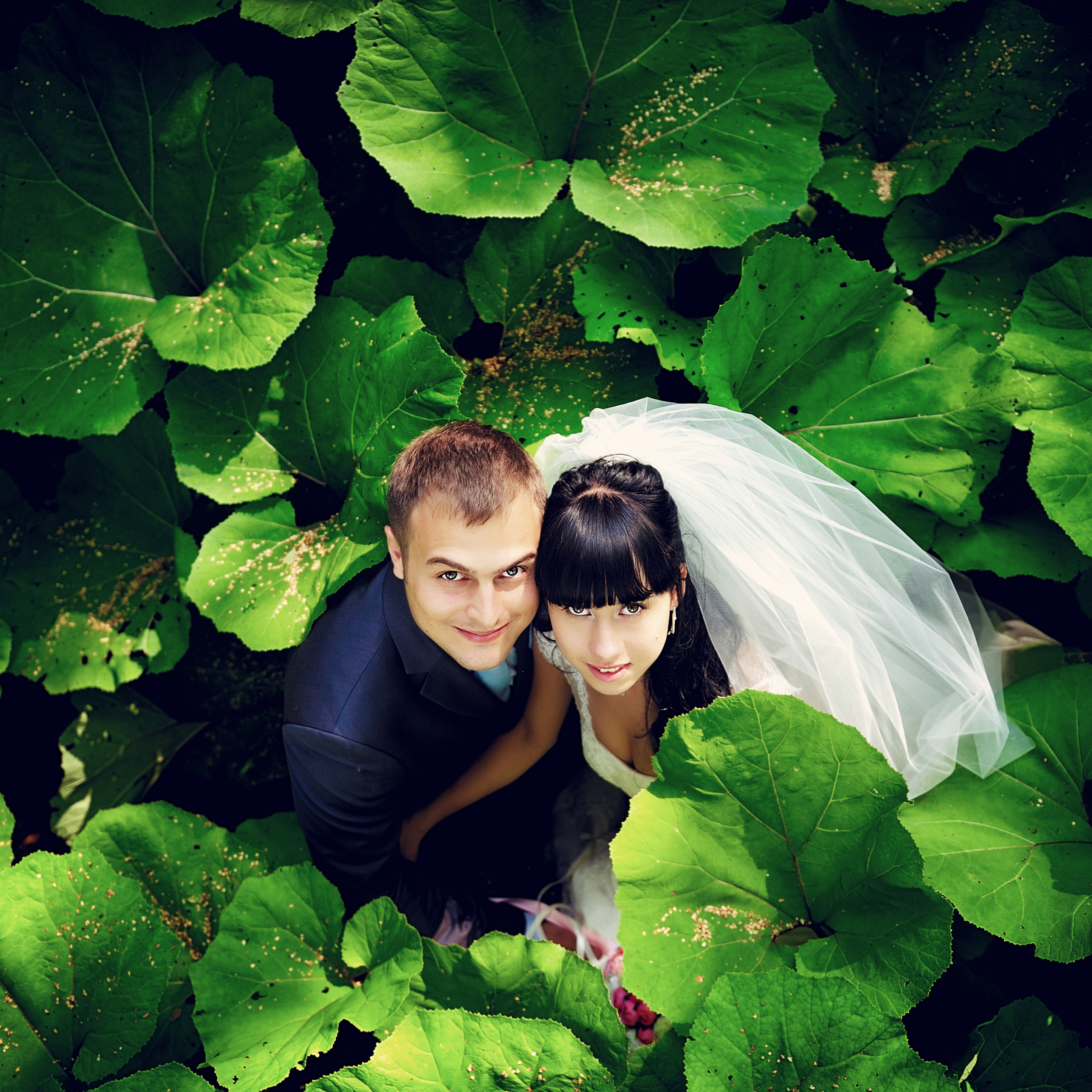 Отзывы. Свадебный и семейный фотограф в Новосибирске Александр Счастный