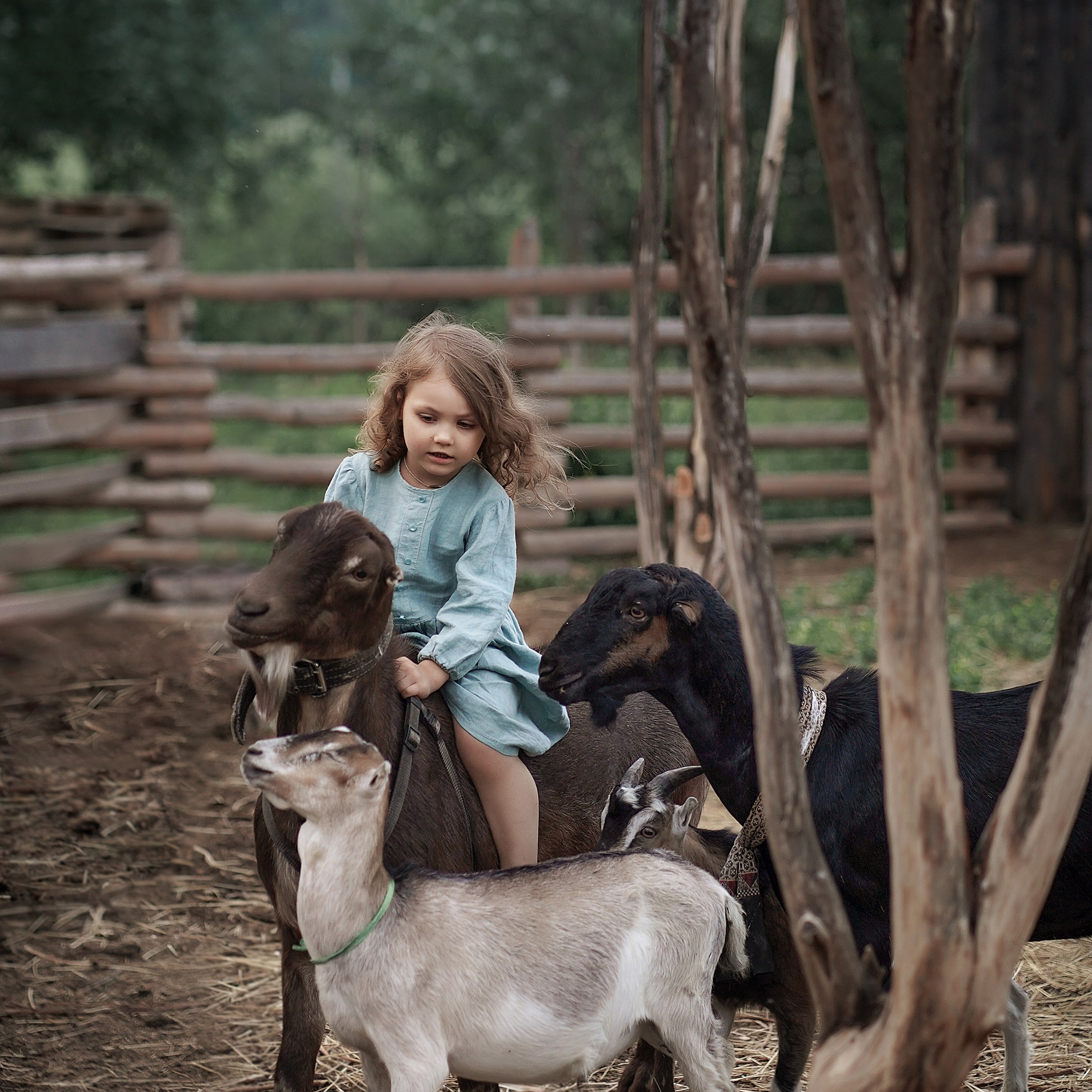 Дети. Семейный и детский фотограф в Кирове Вылегжанина Екатерина