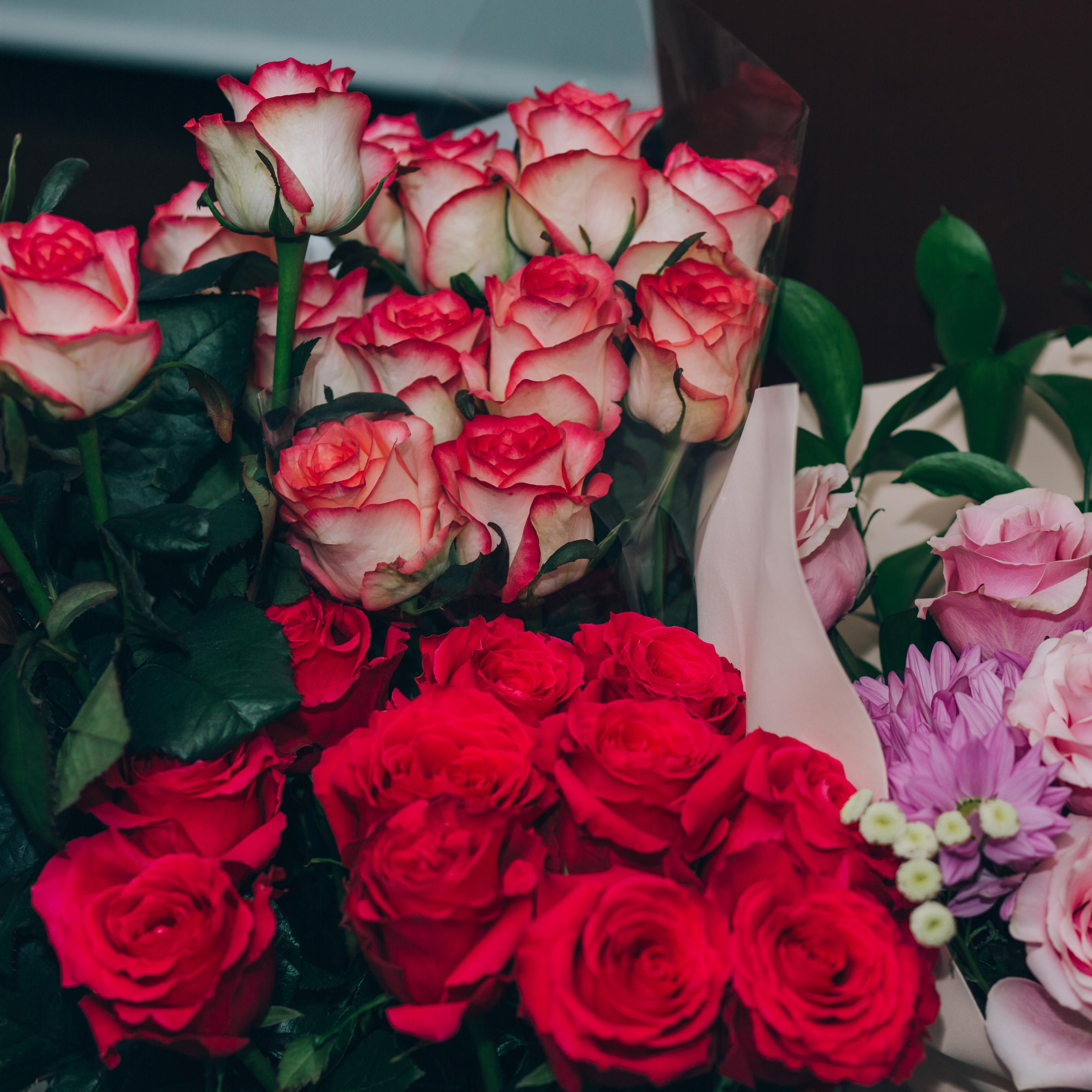 Отзывы фотограф Светлана Былова. Свадебный Церковный Семейный фотограф Светлана Былова Москва- Смоленск