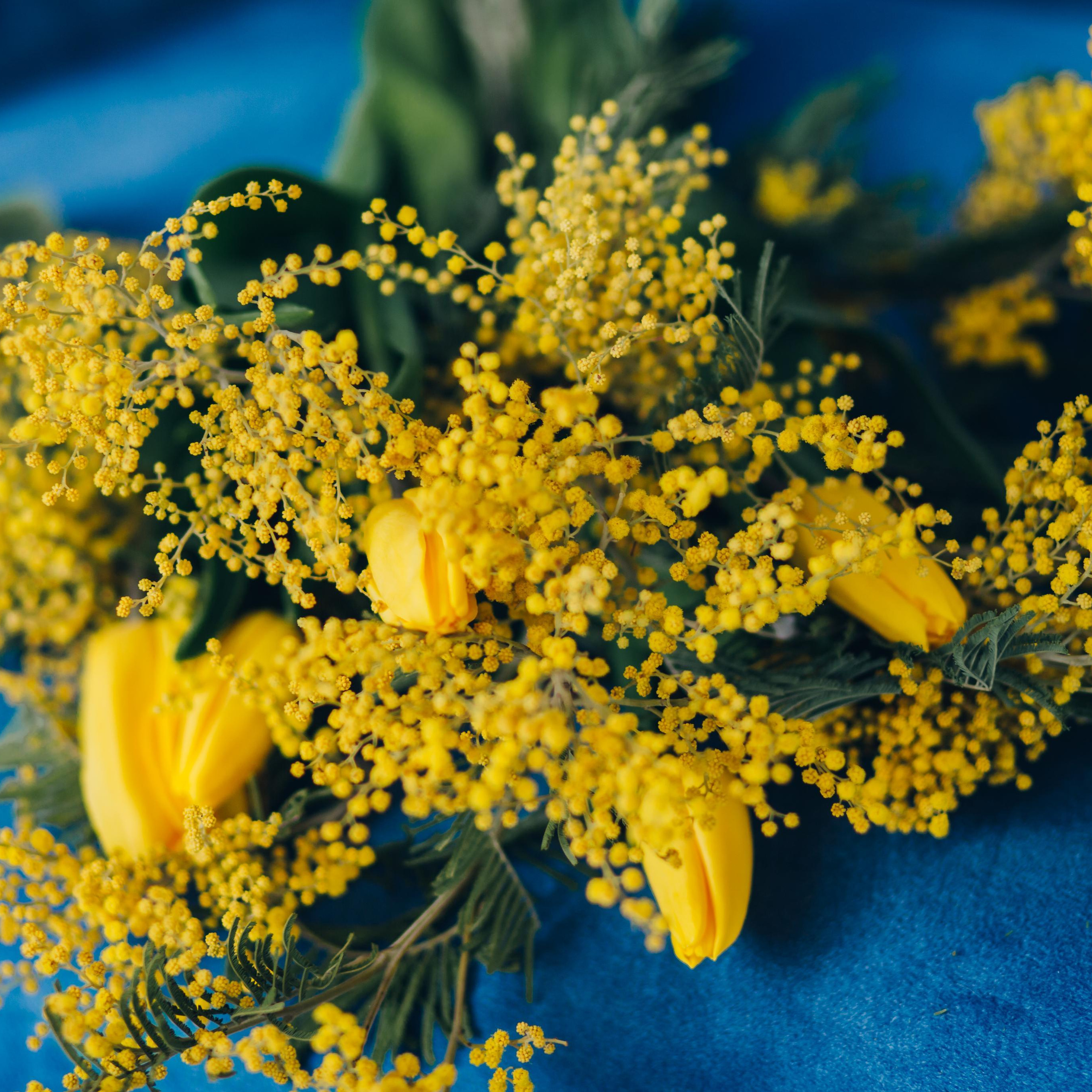 Отзывы фотограф Светлана Былова. Свадебный Церковный Семейный фотограф Светлана Былова Москва- Смоленск