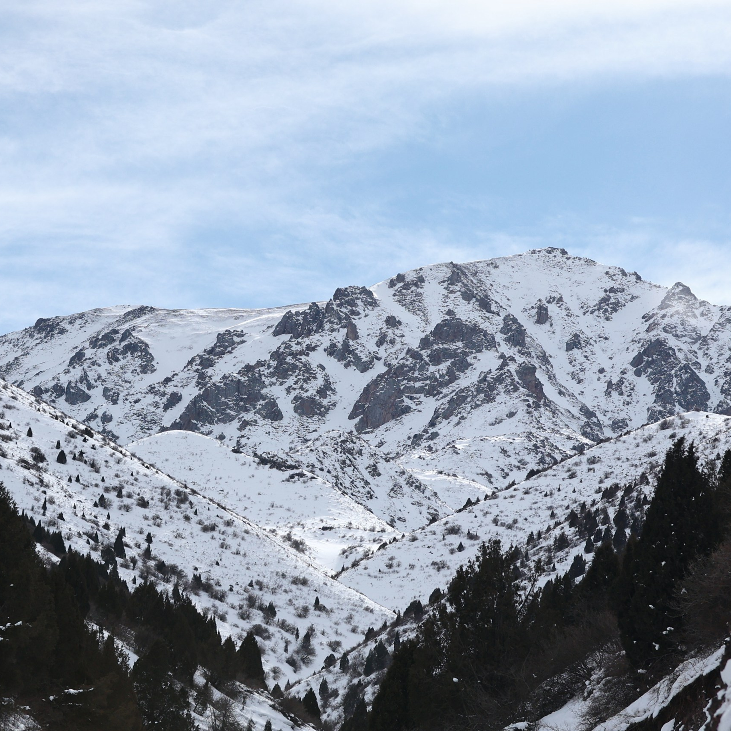 Отзывы. Спортивный/коммерческий фотограф/видеограф