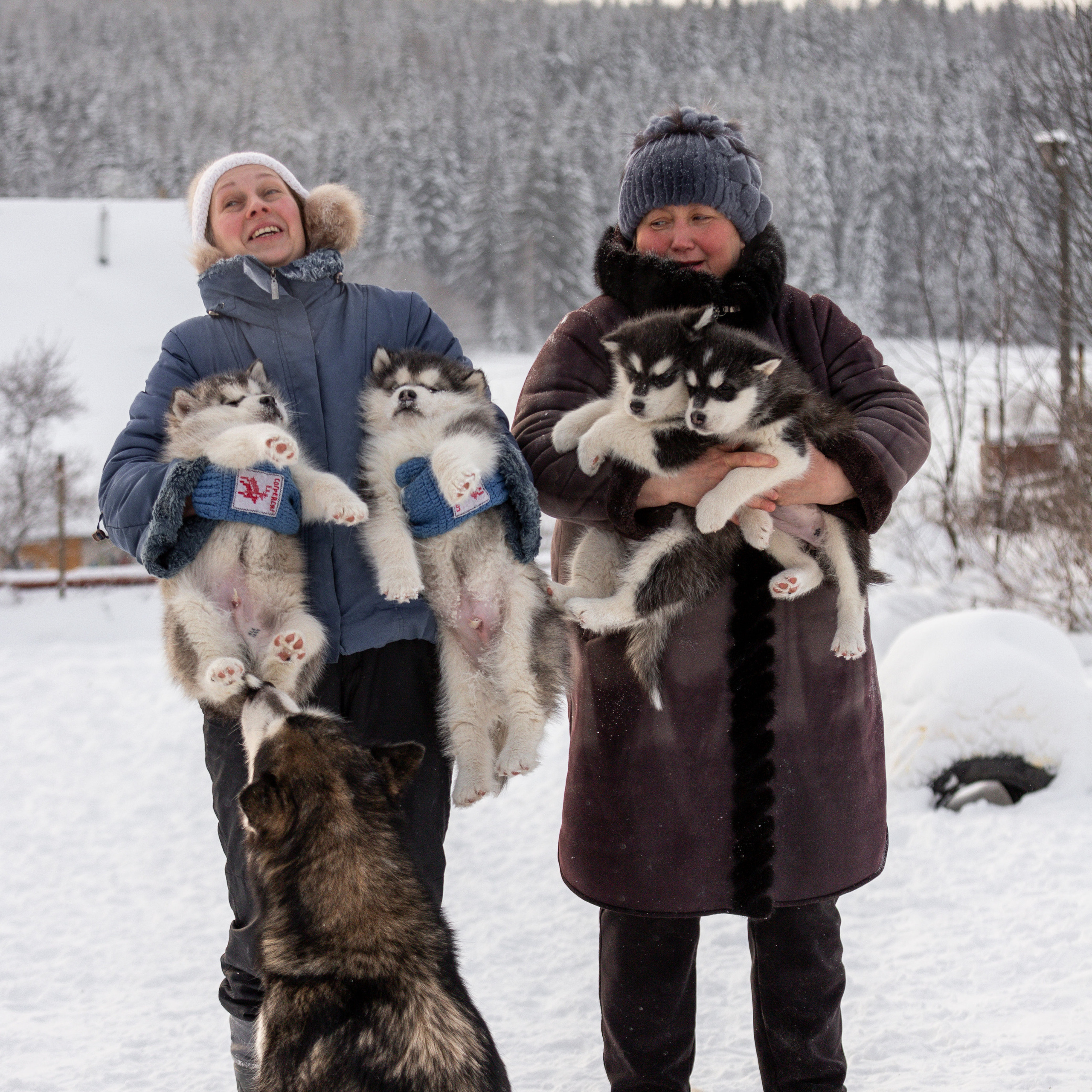 Отзывы. Фотограф — Анималист | Санкт-Петербург