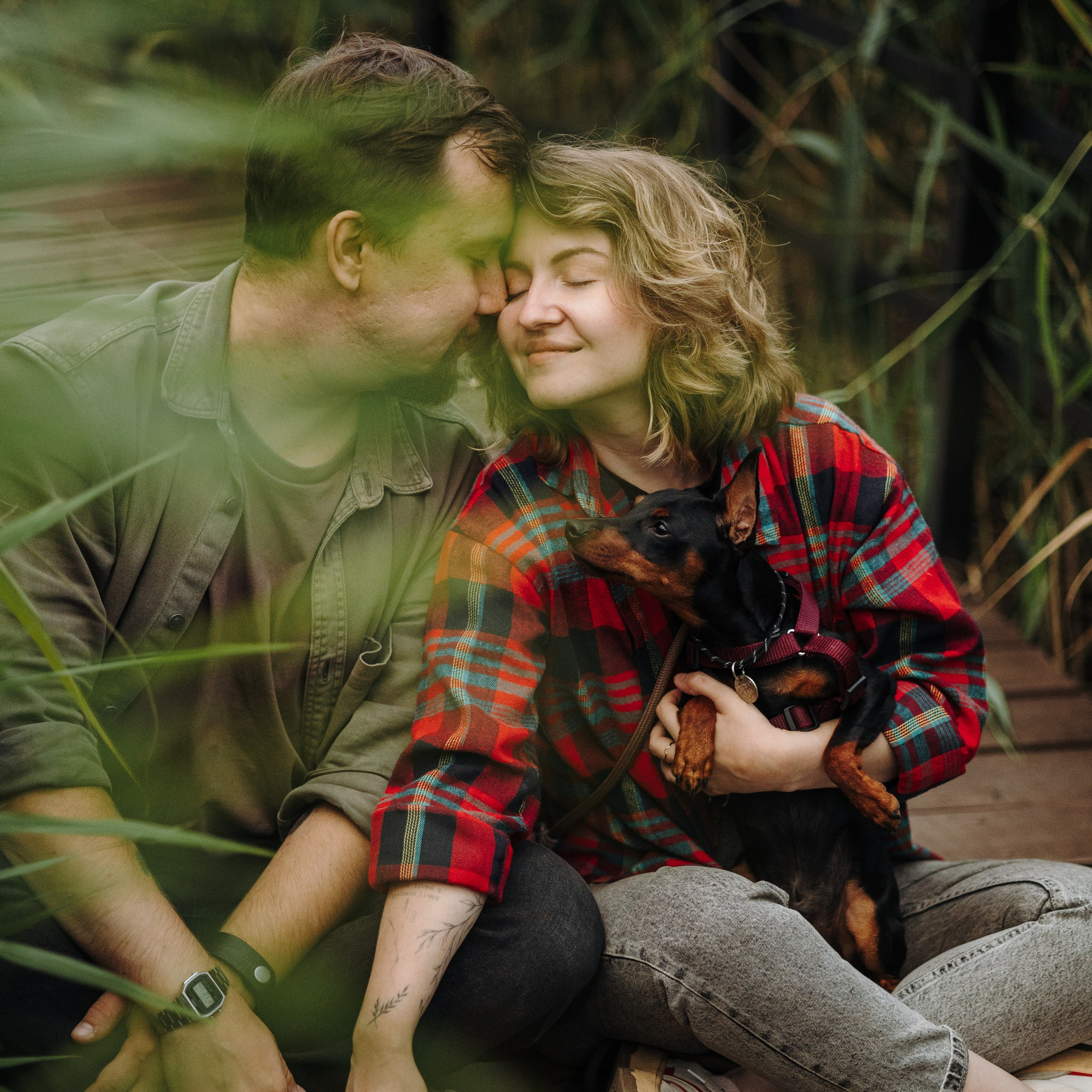 Сириус и его семья