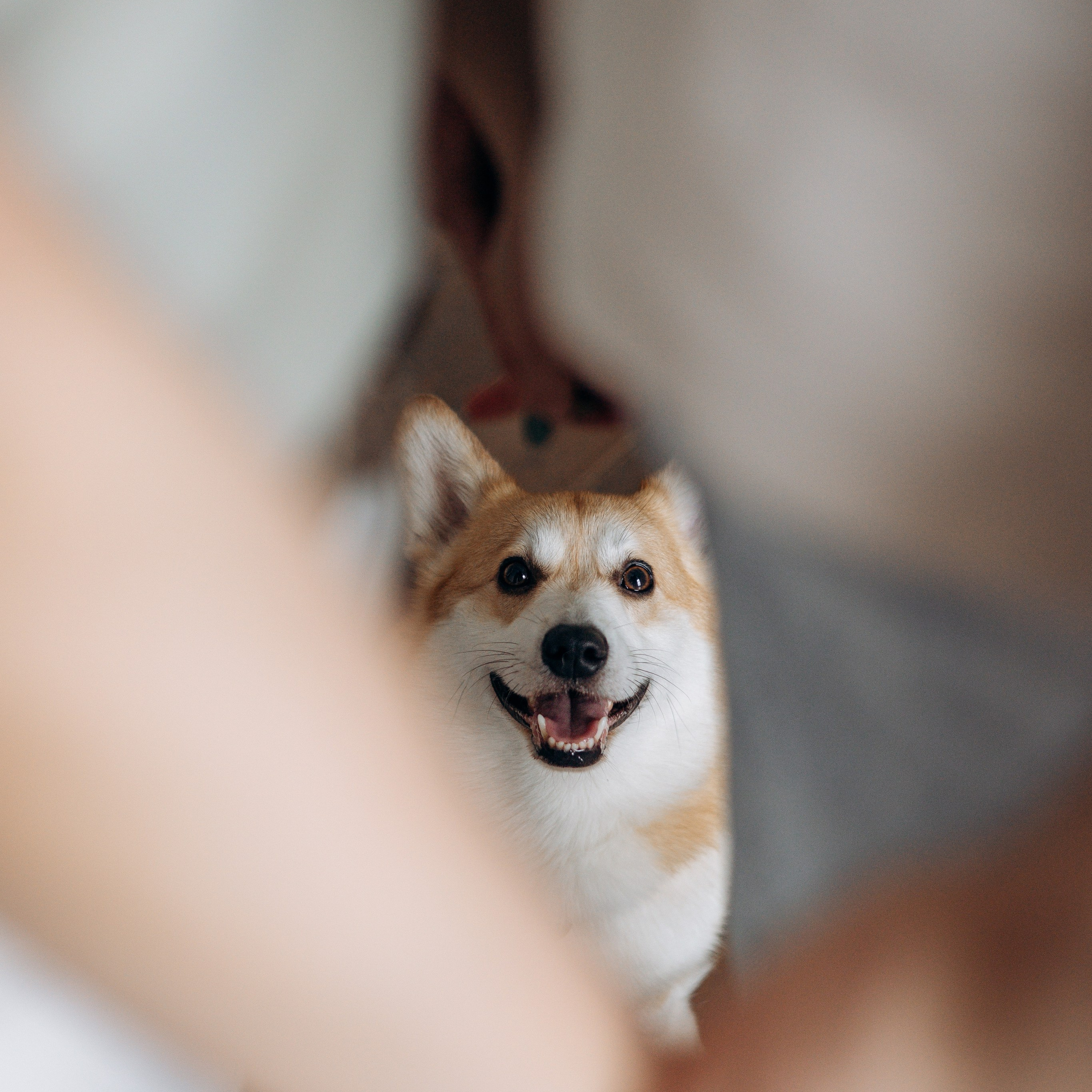 Ричи и его семья