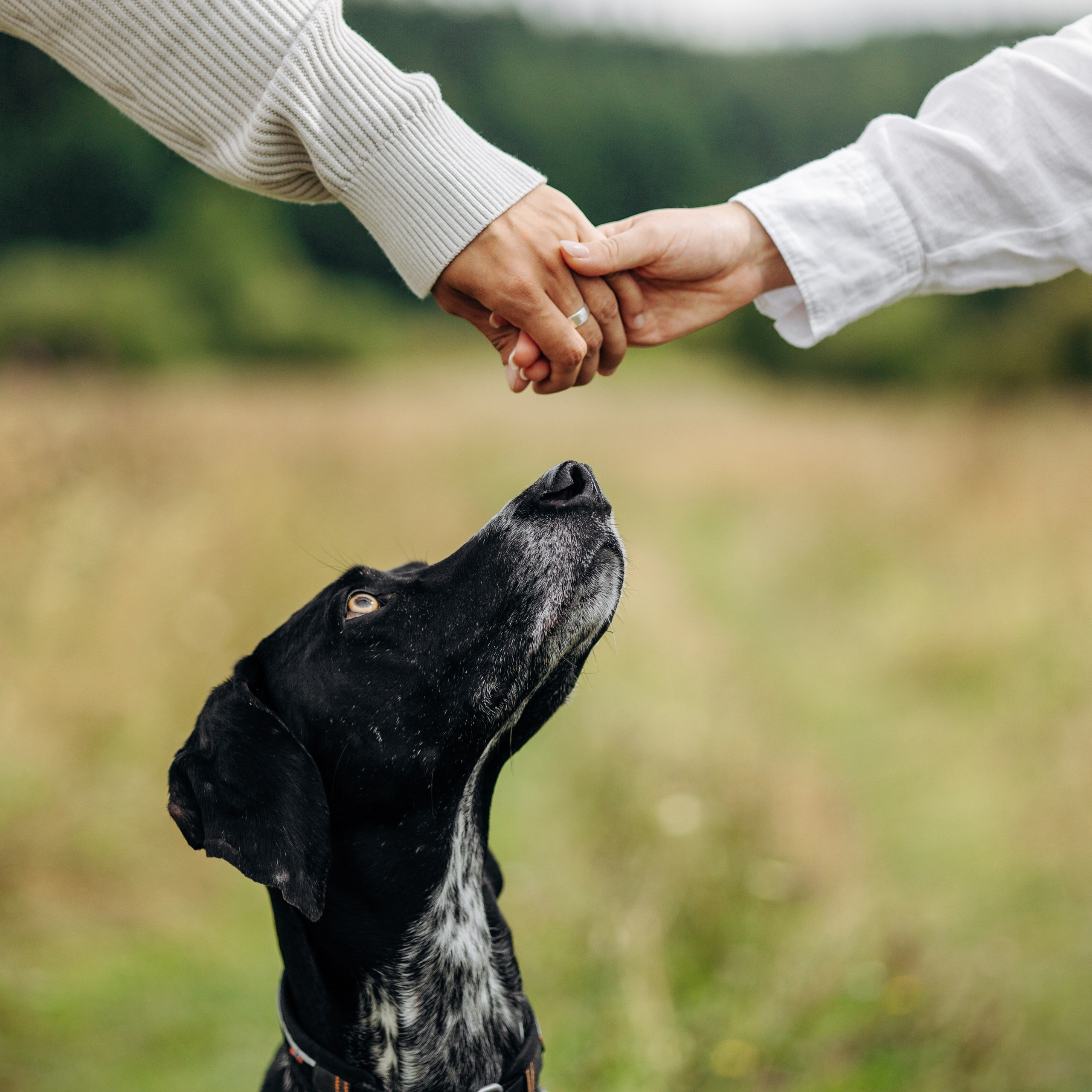 Хеликс и его семья