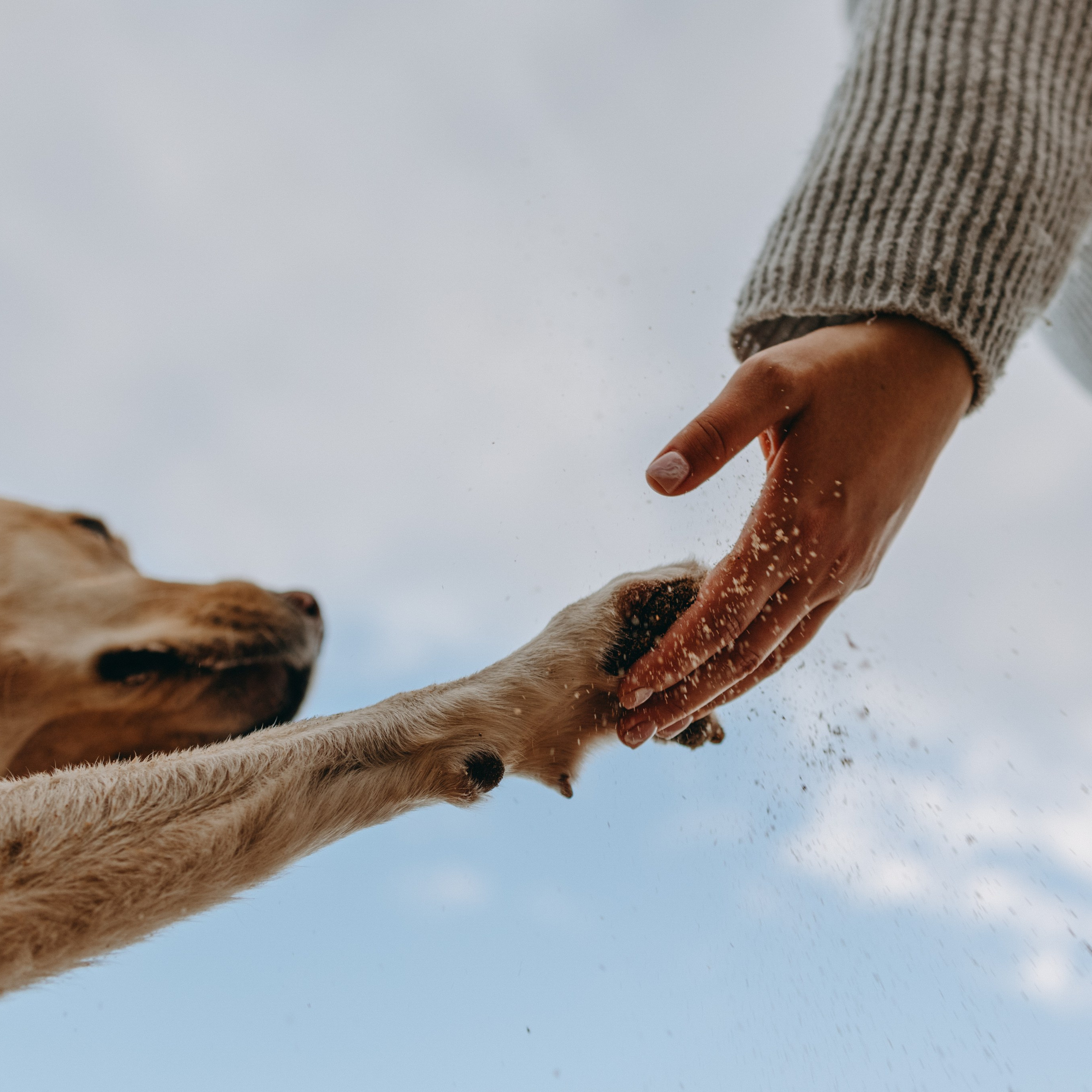 Наташа и Шани