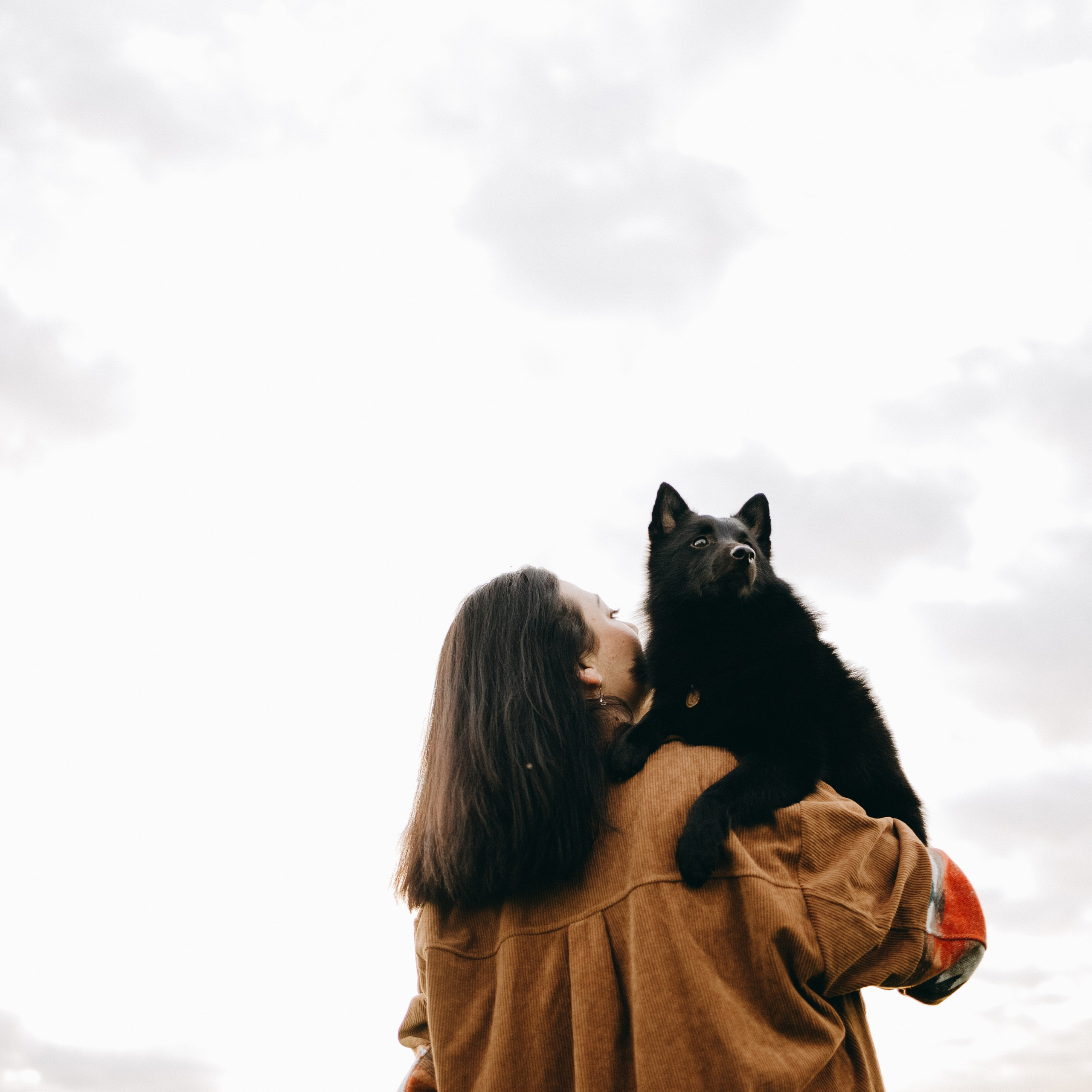 Анна и Максимус