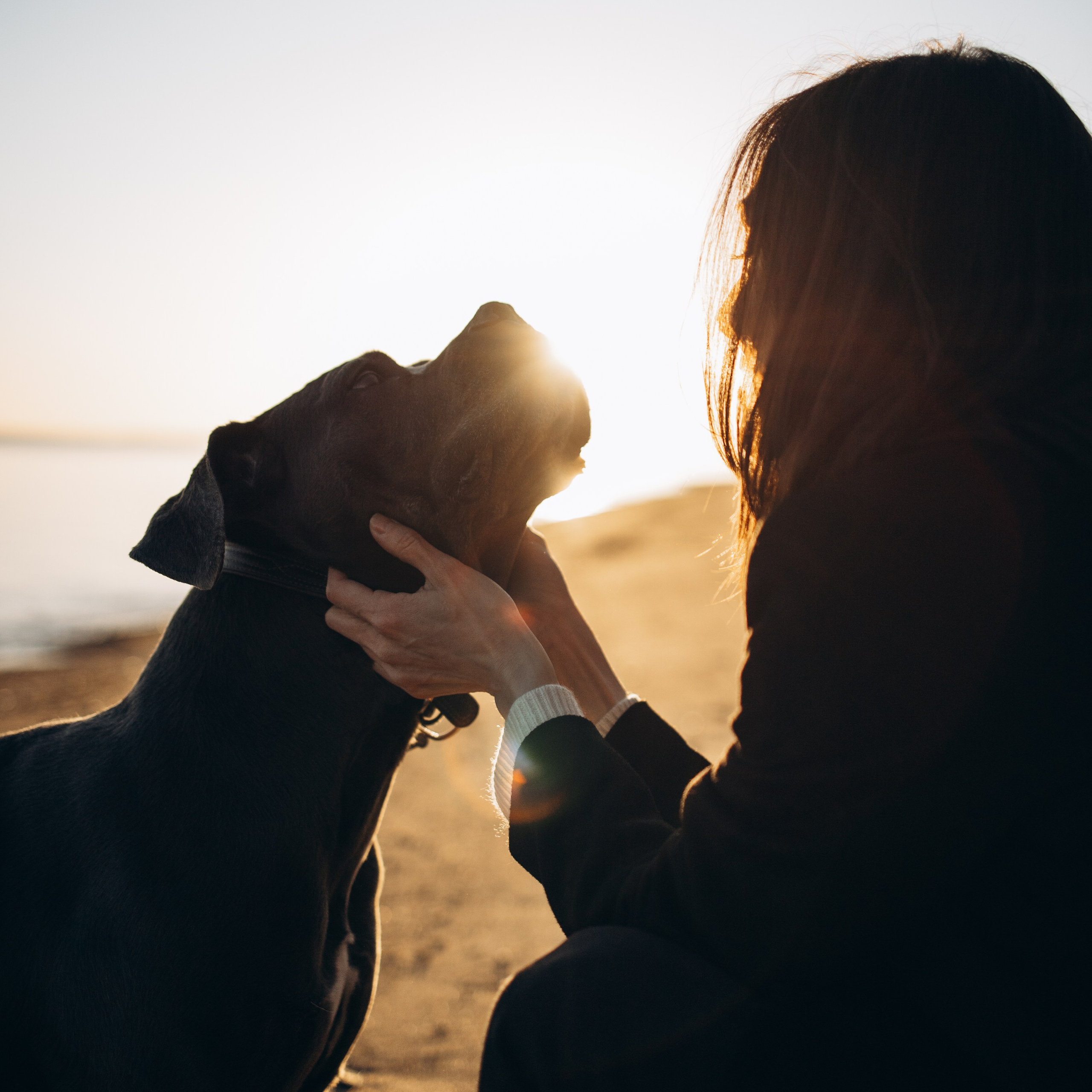 Анна и Лана