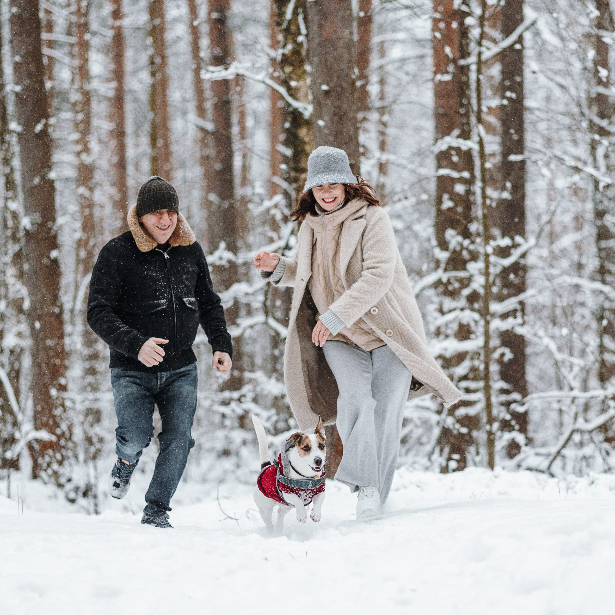 Мики и его семья