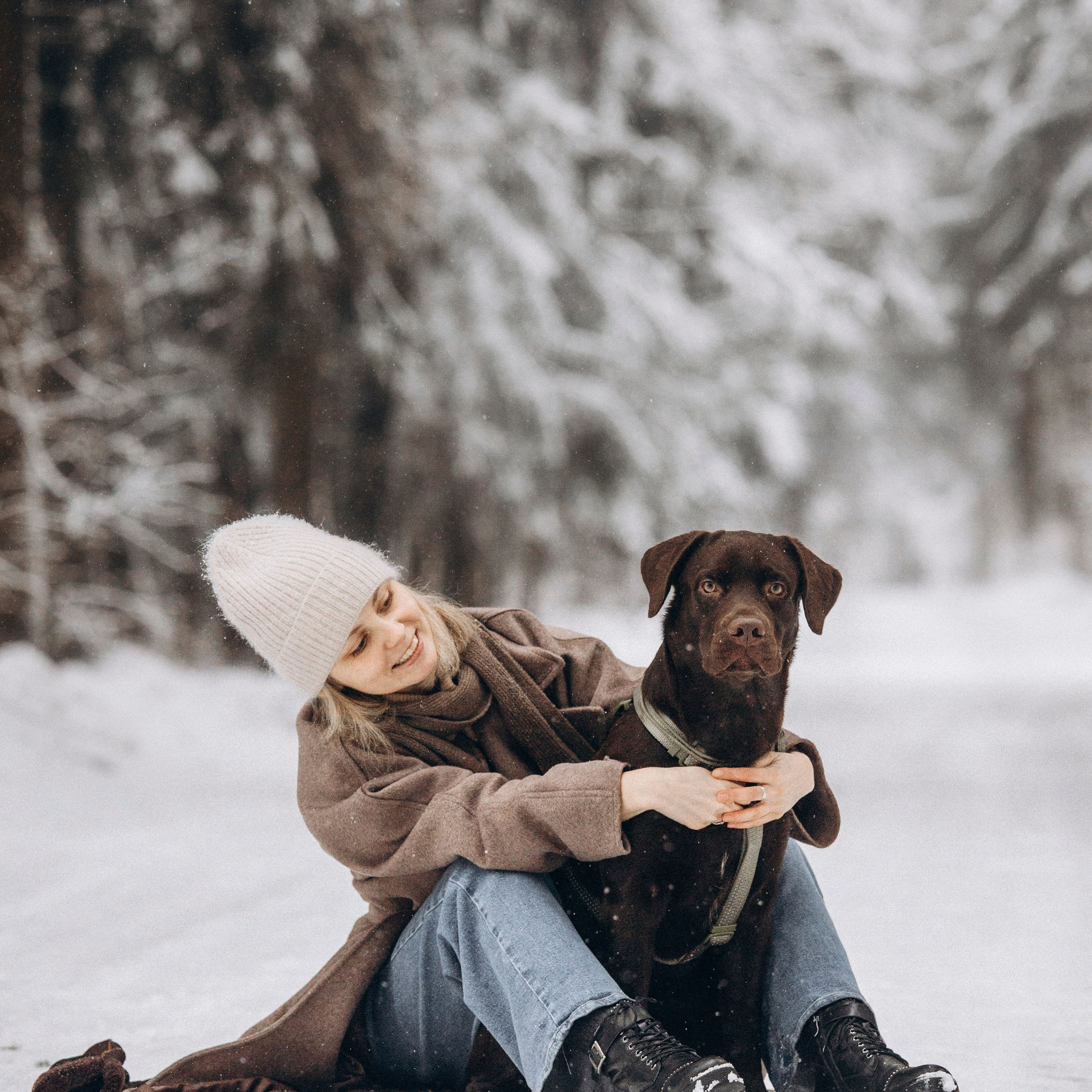 Отзывы. Фотограф — Анималист | Санкт-Петербург