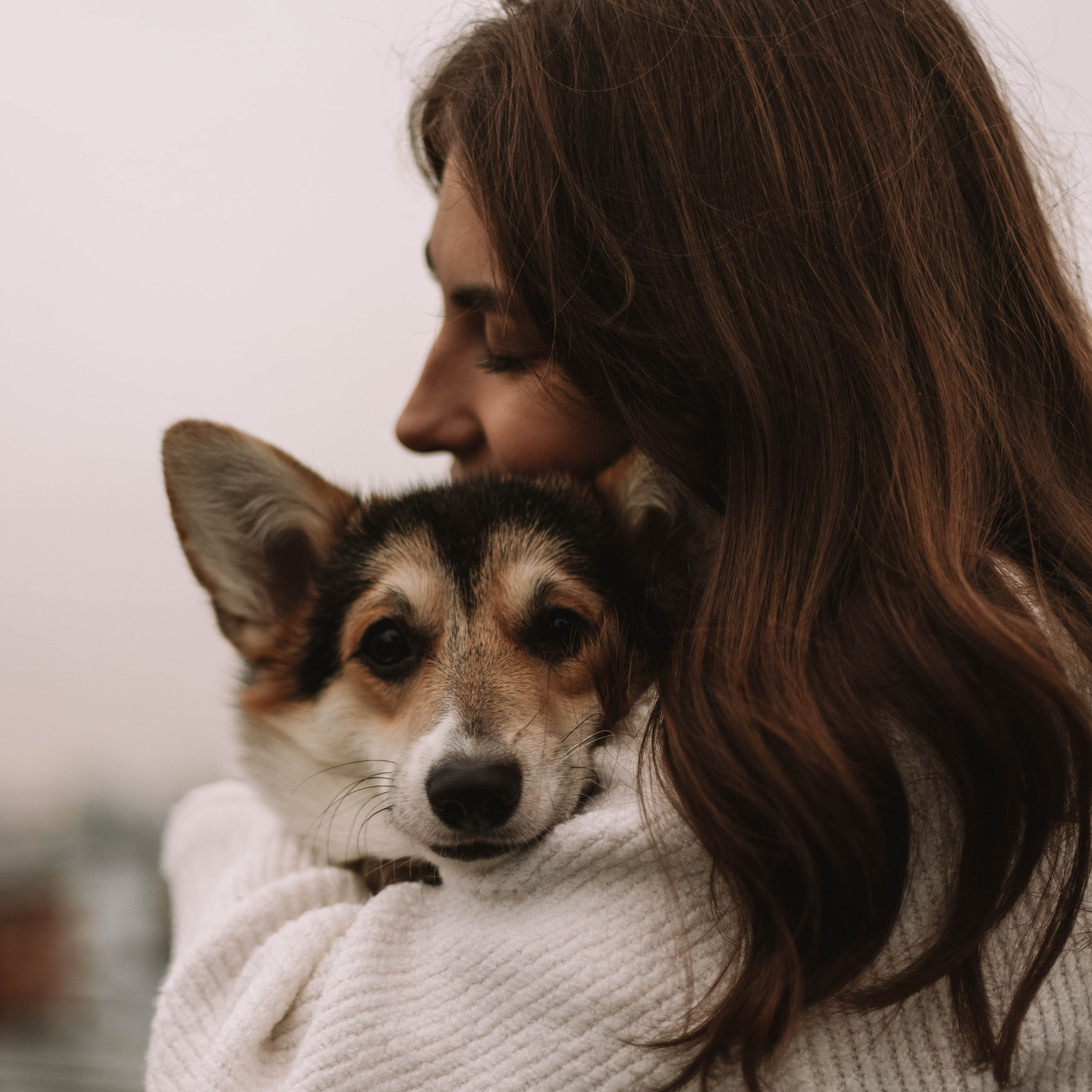 Отзывы. Фотограф — Анималист | Санкт-Петербург