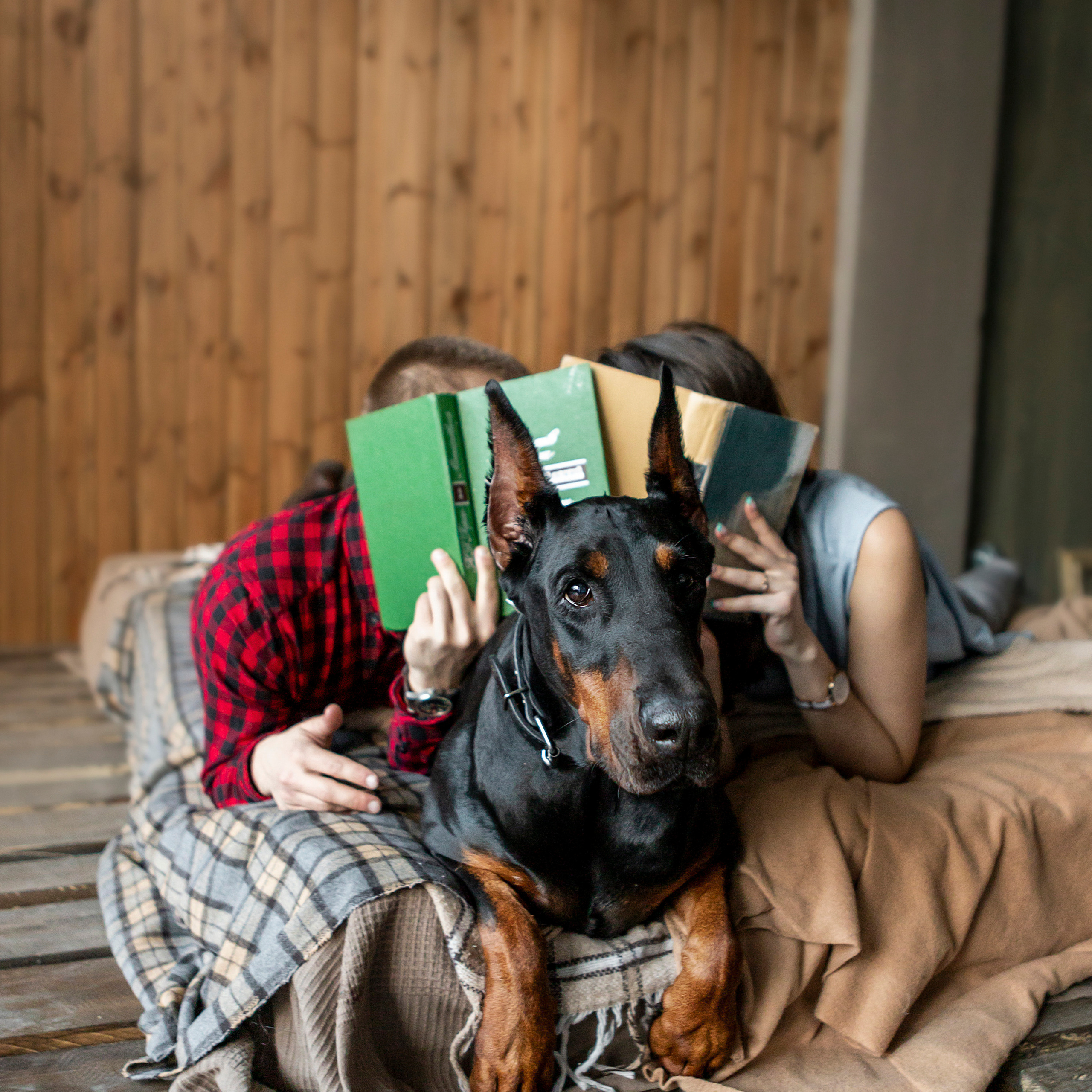 Отзывы. Фотограф — Анималист | Санкт-Петербург