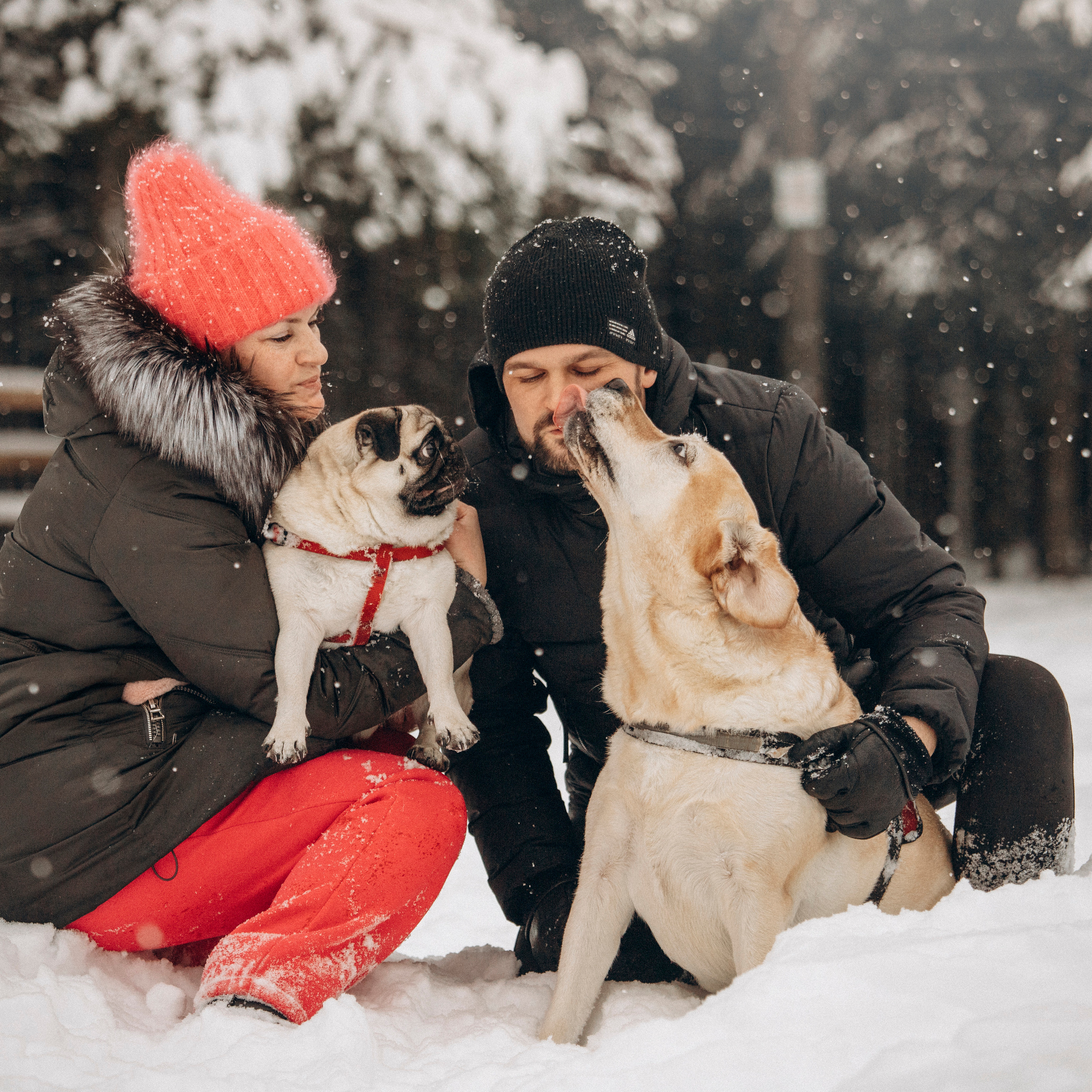 Марго, Степа и их семья